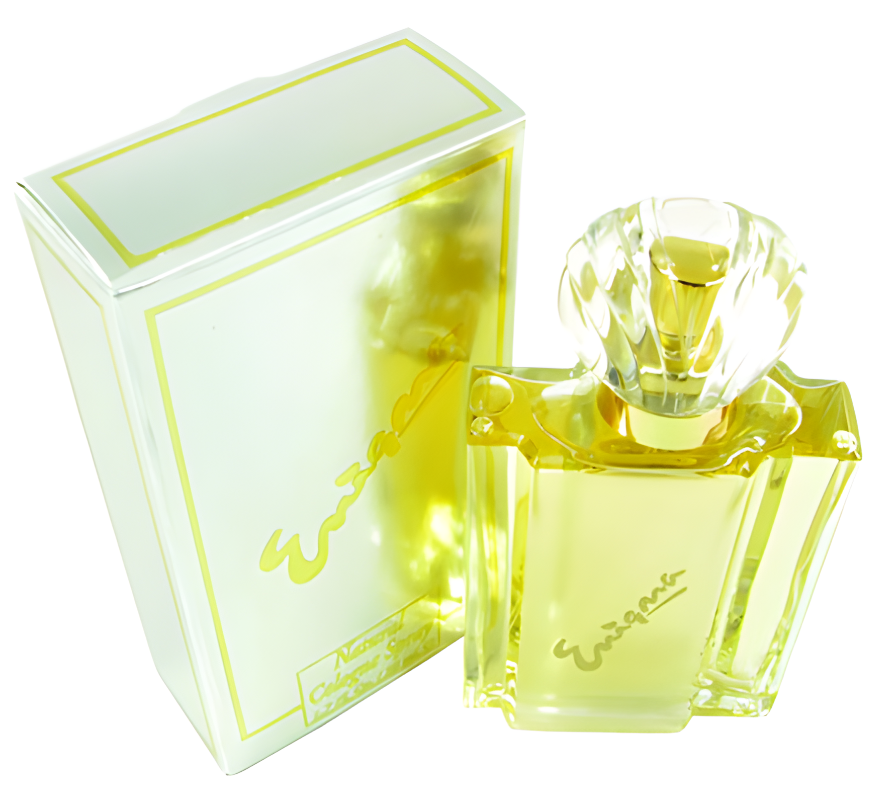 Enigma by Alexandra de Markoff perfume bottle