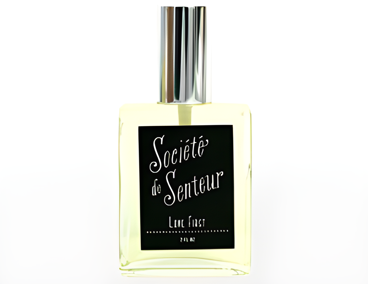 Love First by West Third Brand perfume bottle