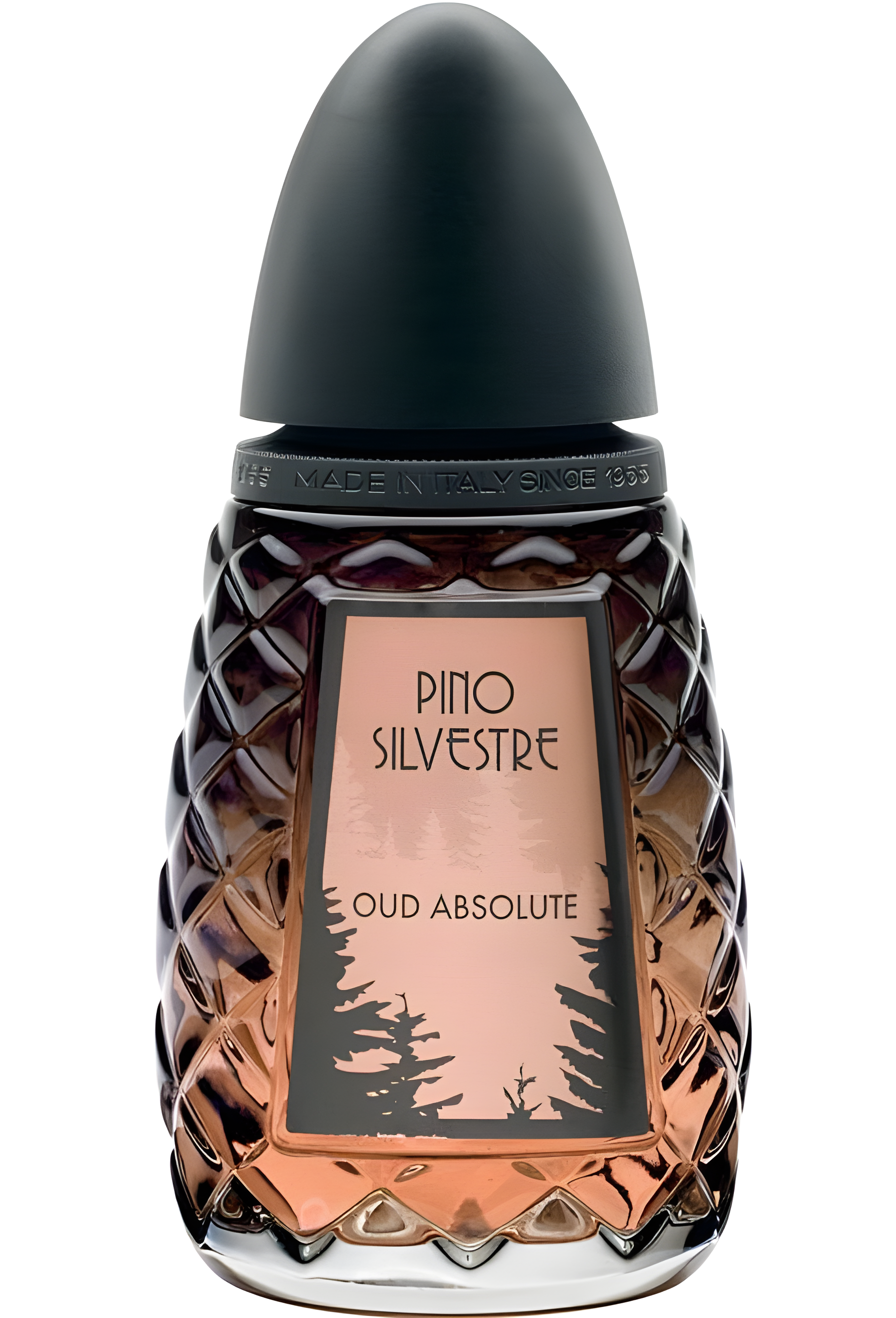 Oud Absolute by Pino Silvestre perfume bottle