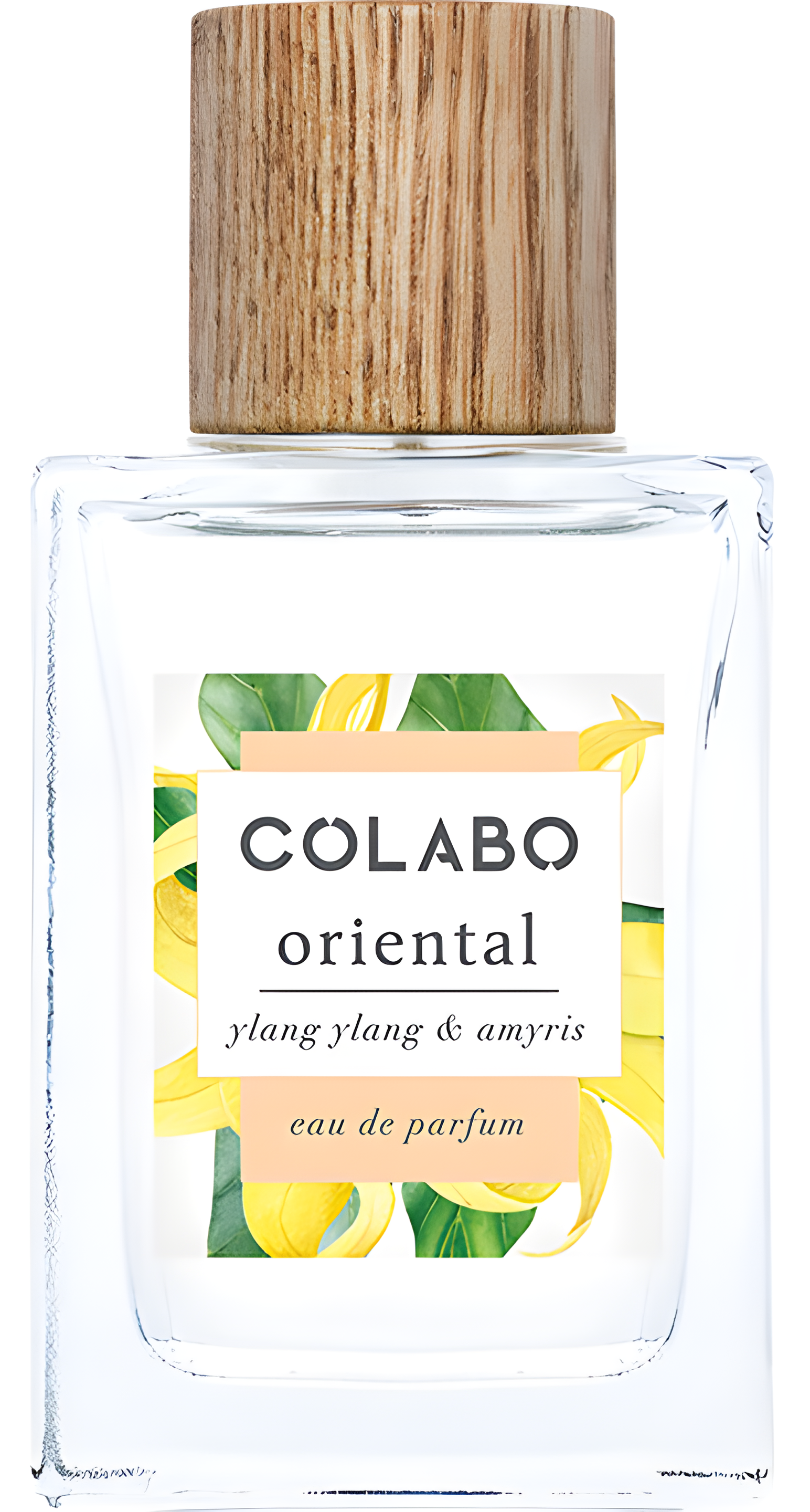 Oriental Ylang Ylang & Amyris by COLABO perfume bottle