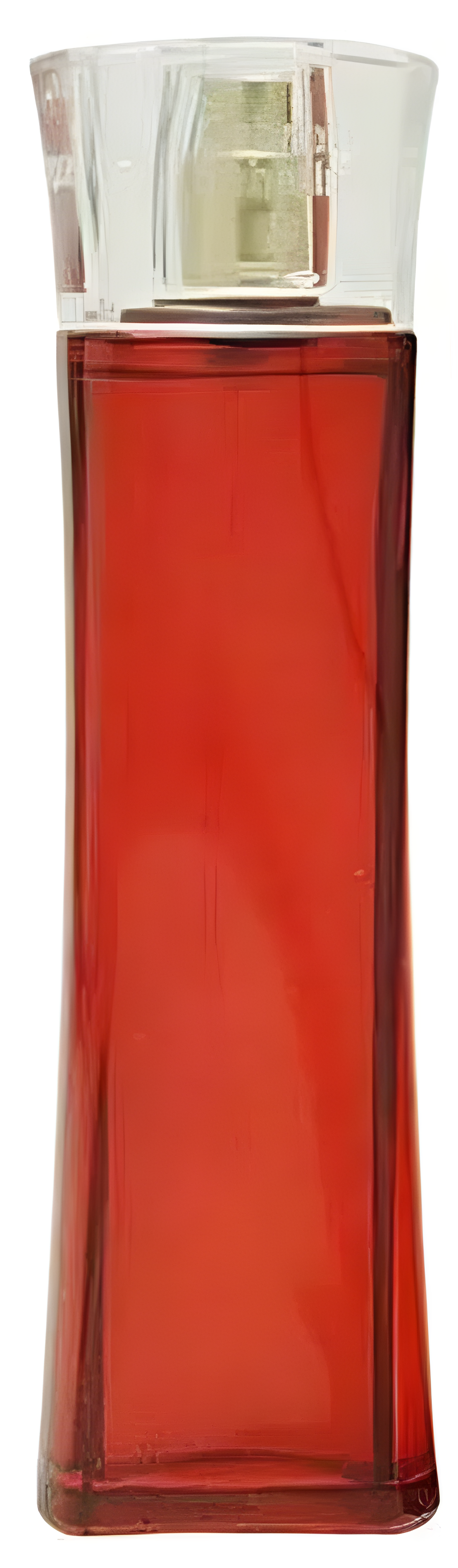 Dévotion by Gabriela Sabatini perfume bottle