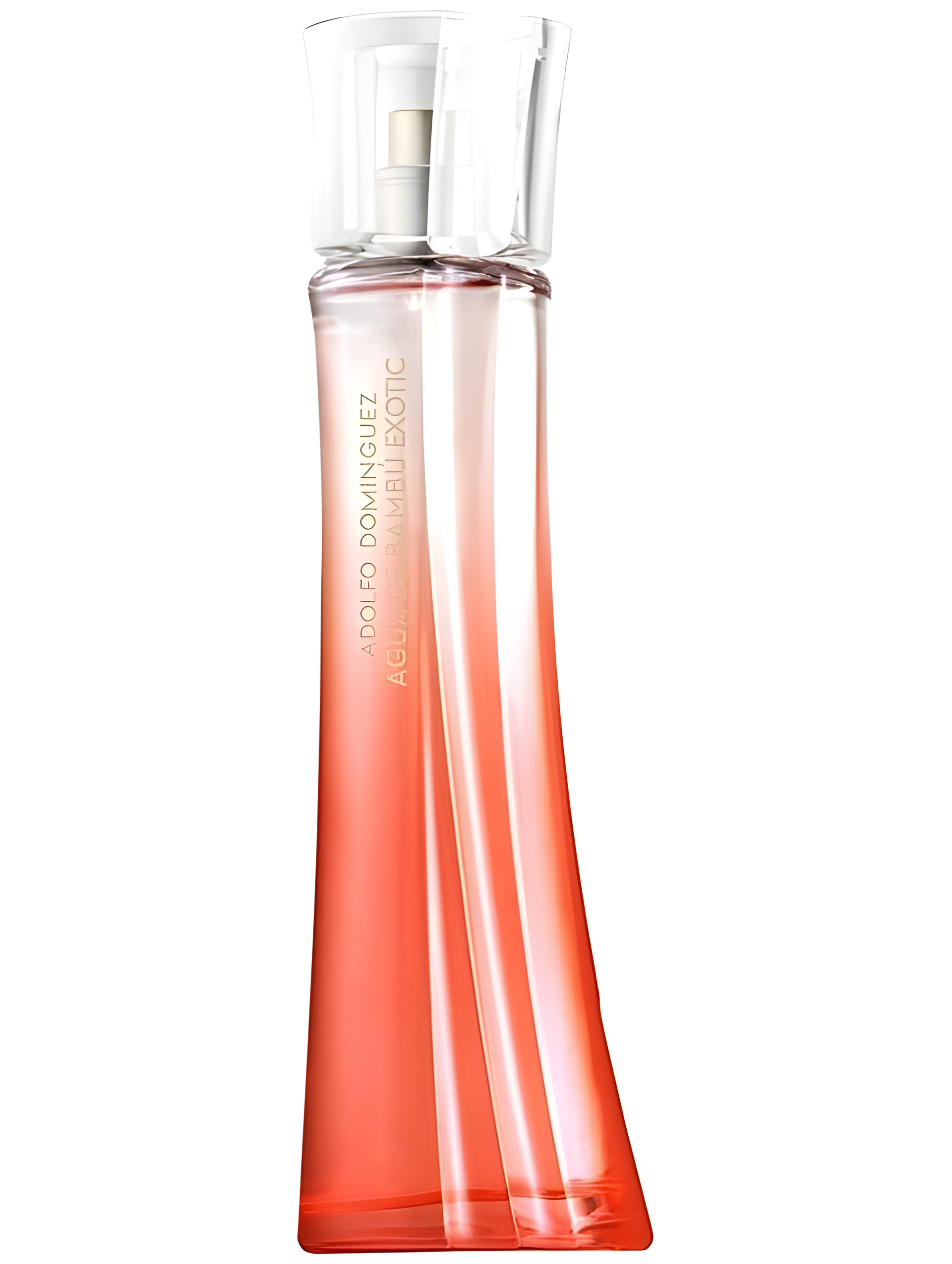 Agua de Bambu Exotic for Her by Adolfo Dominguez perfume bottle