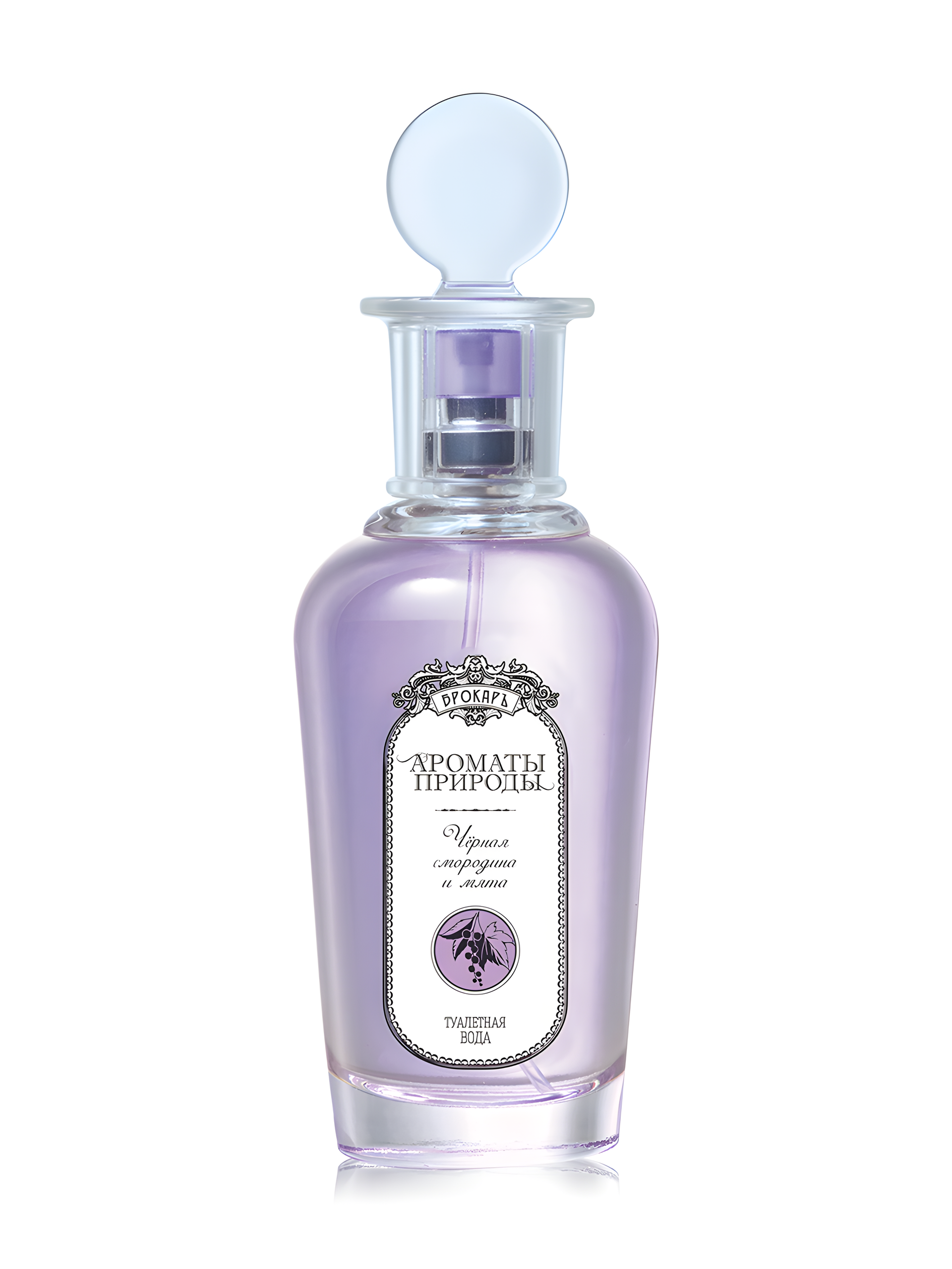Черная Смородина И Мята - Black Currant and Mint by Brocard perfume bottle