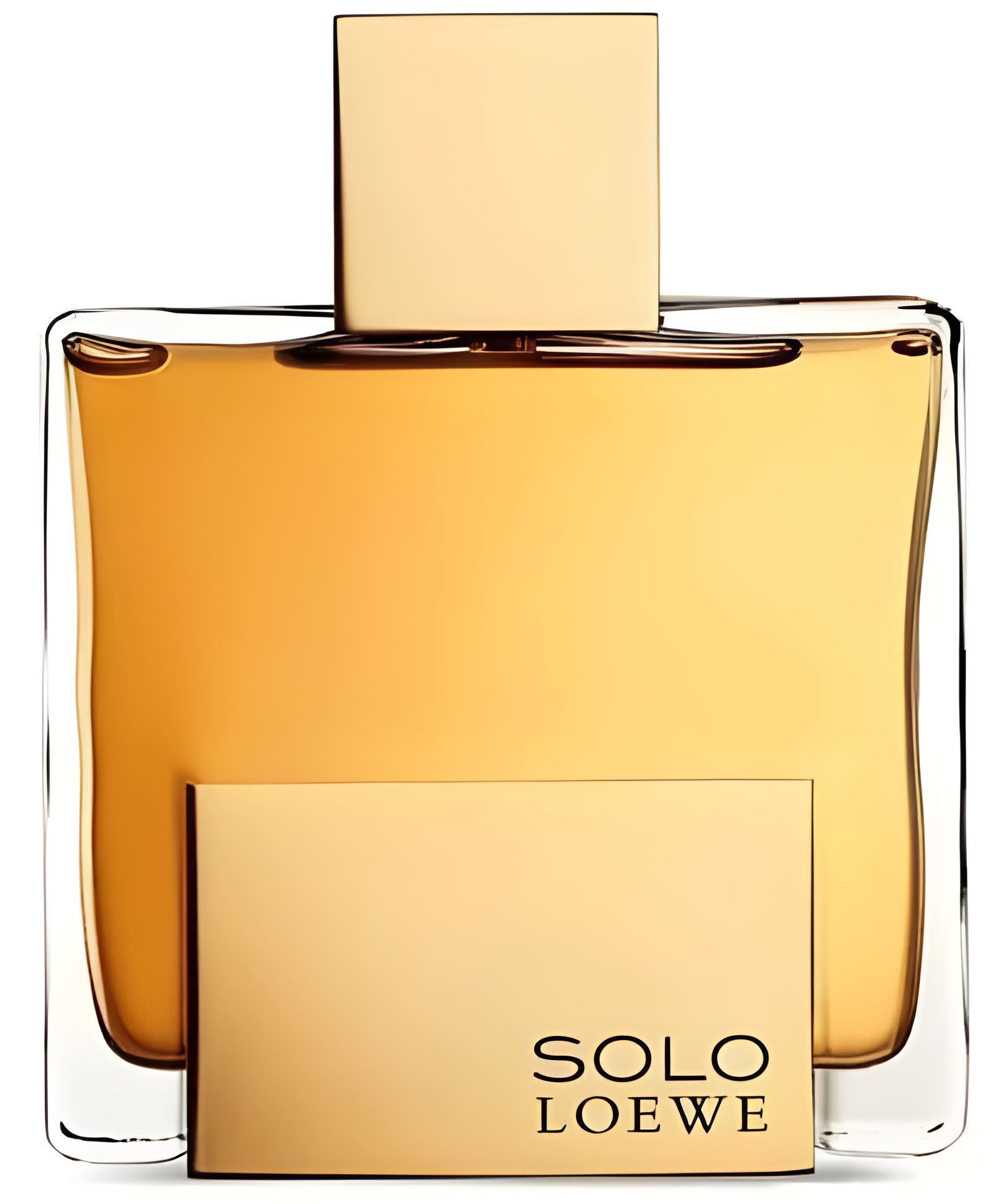 Solo Loewe Absoluto by Loewe perfume bottle