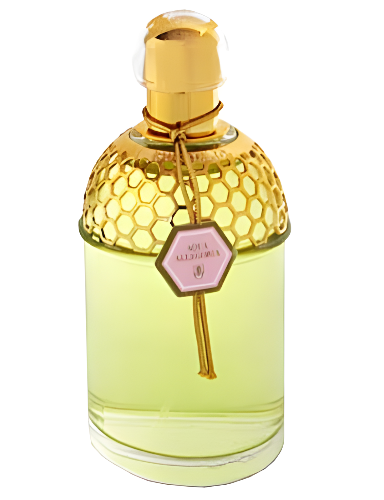 Aqua Allegoria Rosa Magnifica by Guerlain perfume bottle
