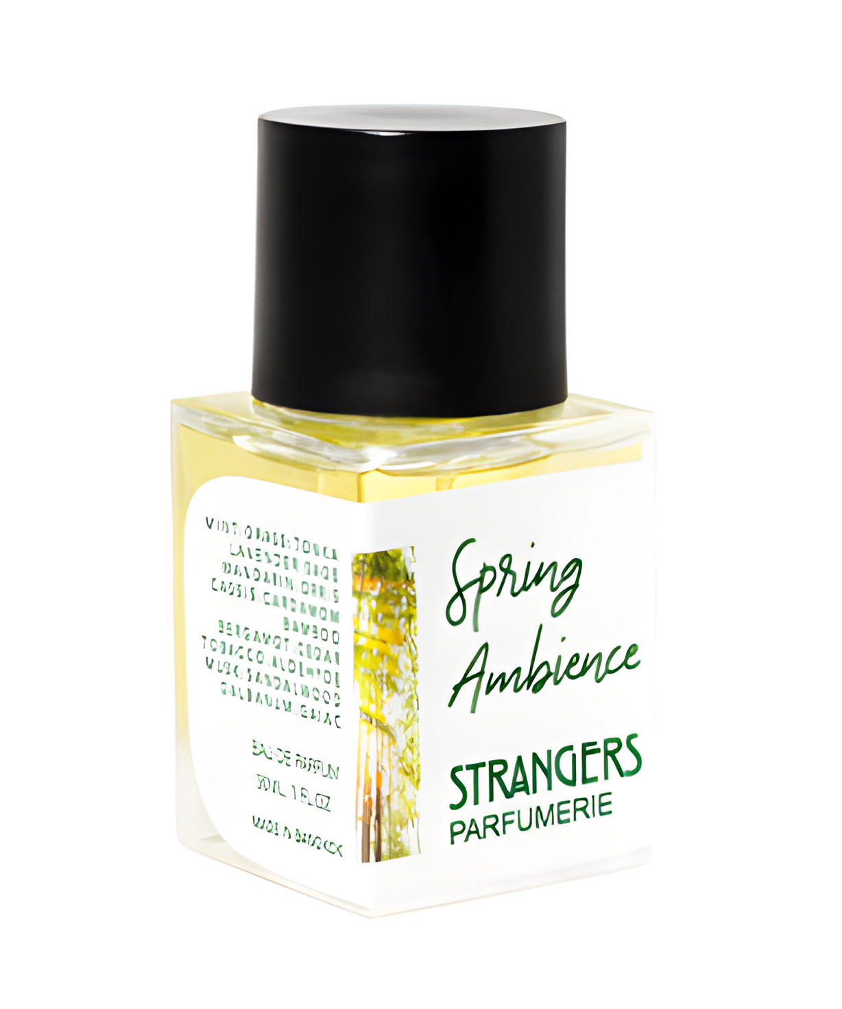 Spring Ambience by Strangers Parfumerie perfume bottle