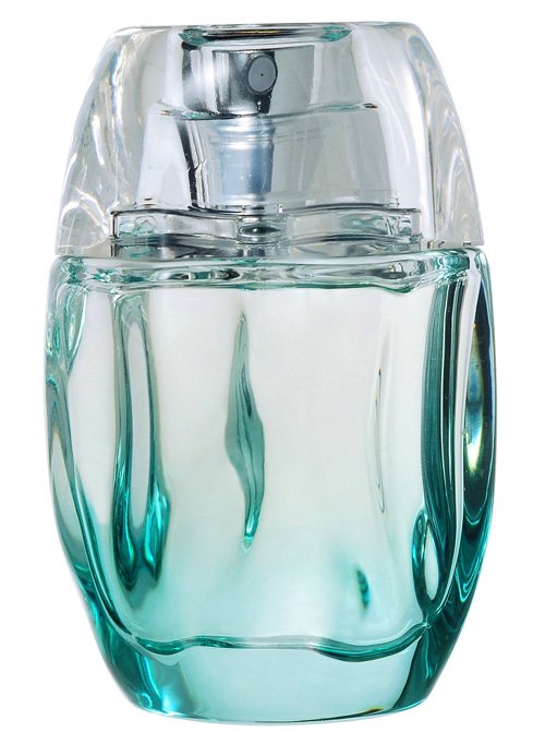 Bleu Azur by Nicole Farhi perfume bottle