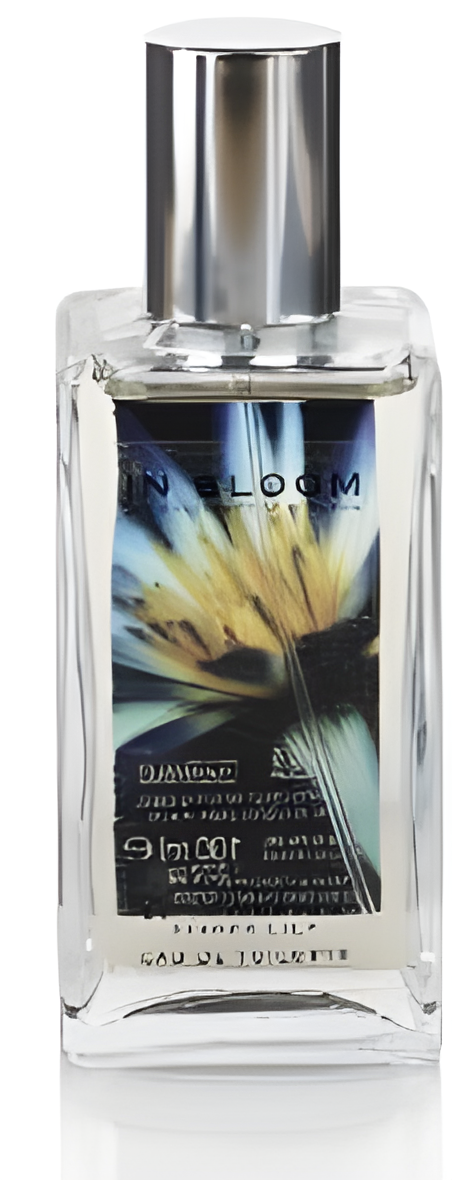 Lotus Flower and Ginger Lily by Marks & Spencer perfume bottle