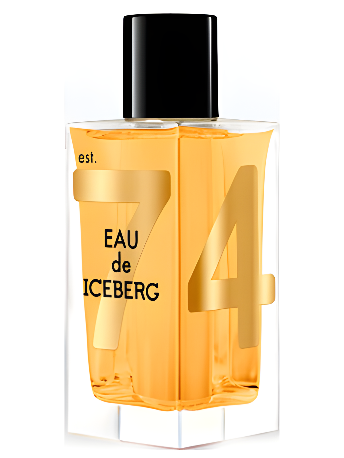 Eau de Iceberg Oud by Iceberg perfume bottle