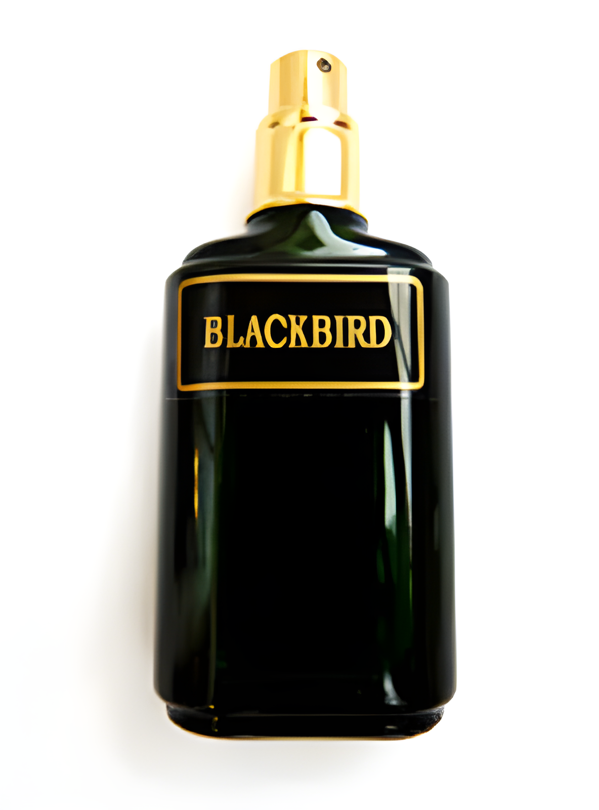 Blackbird by Meshaz Natural Perfumes perfume bottle