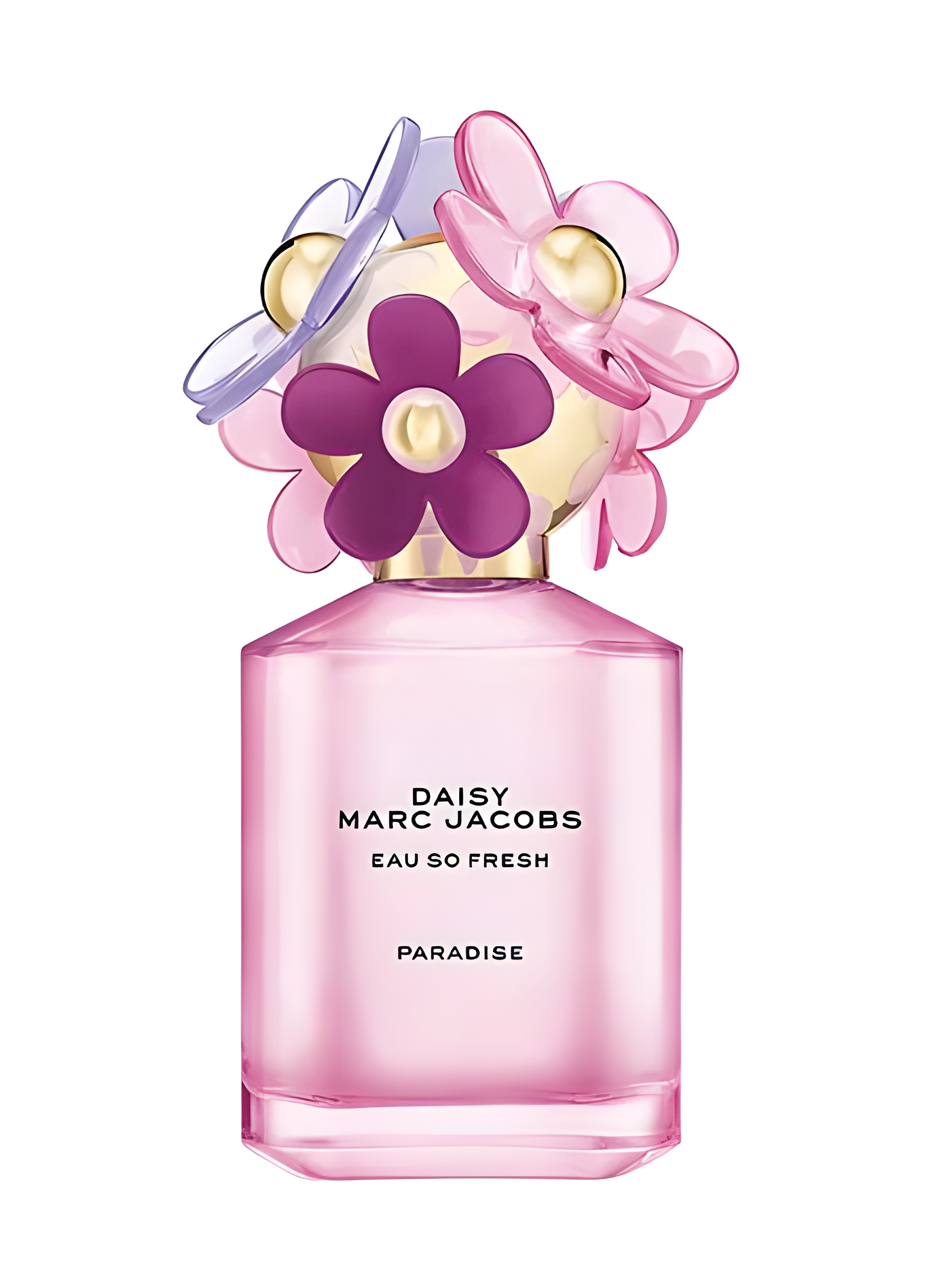 Daisy Eau So Fresh Paradise Limited Edition Eau de Toilette by Marc Jacobs perfume bottle