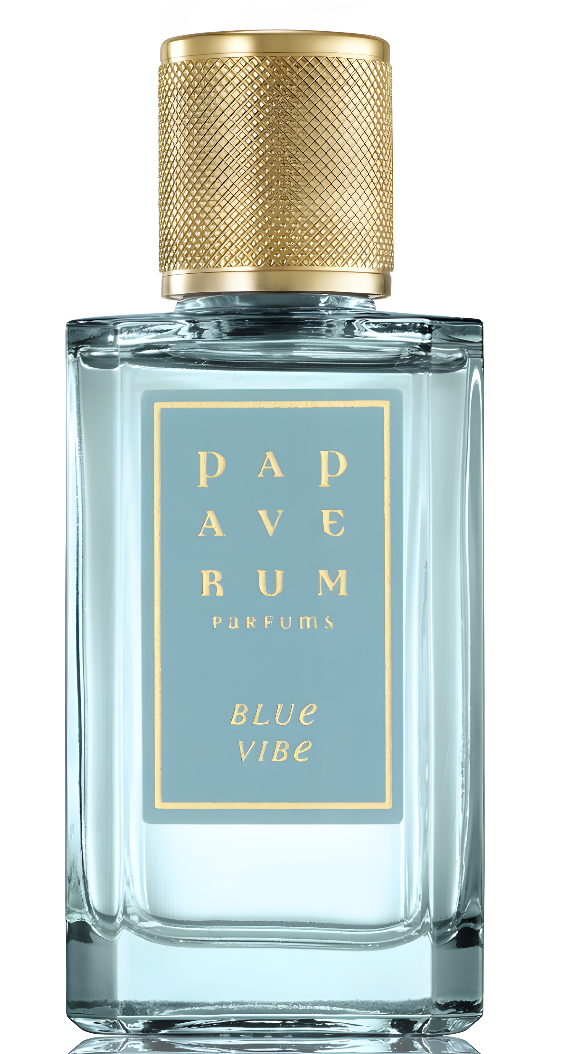 Blue Vibe by Jardin de Parfums perfume bottle