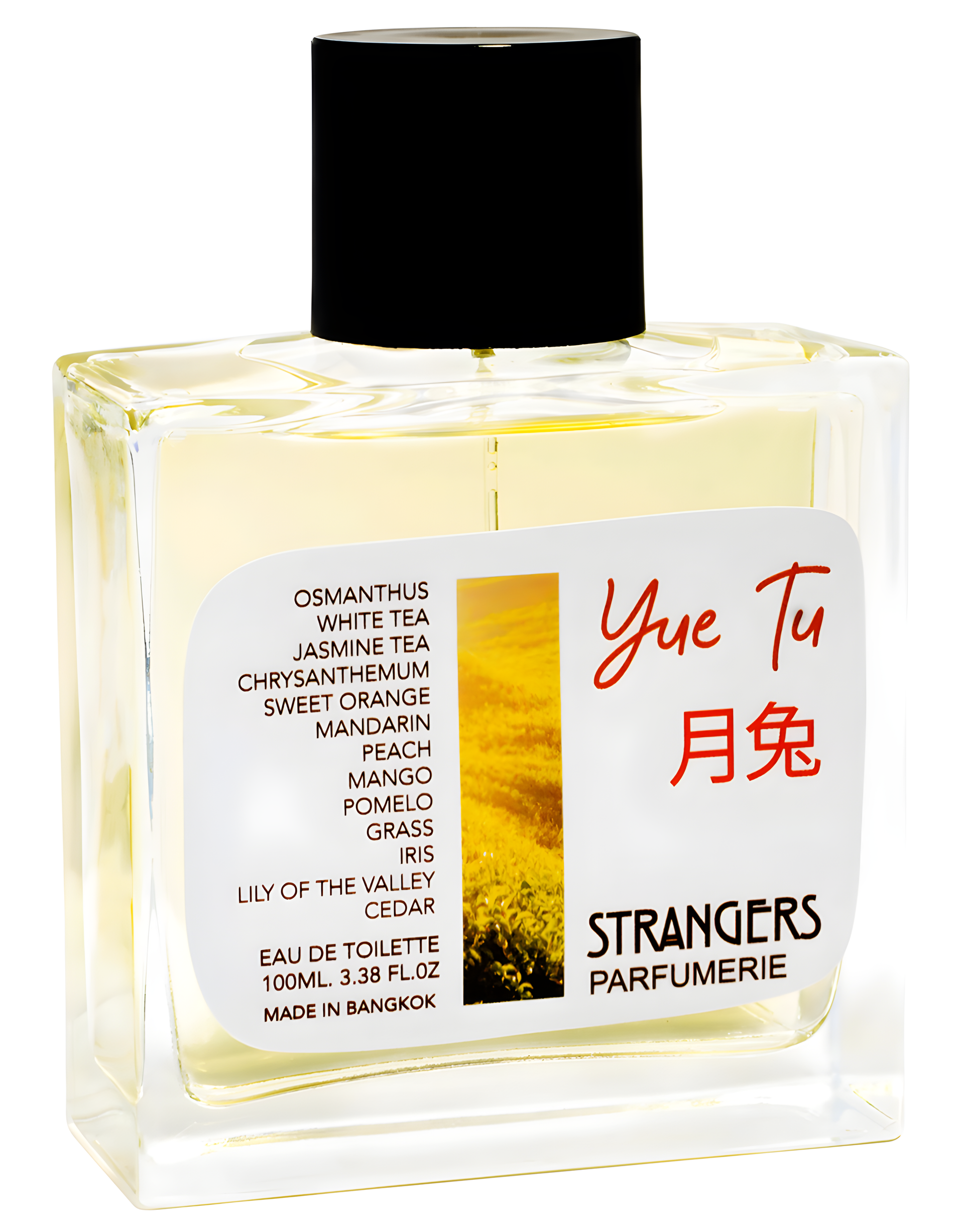 Yue Tu by Strangers Parfumerie perfume bottle
