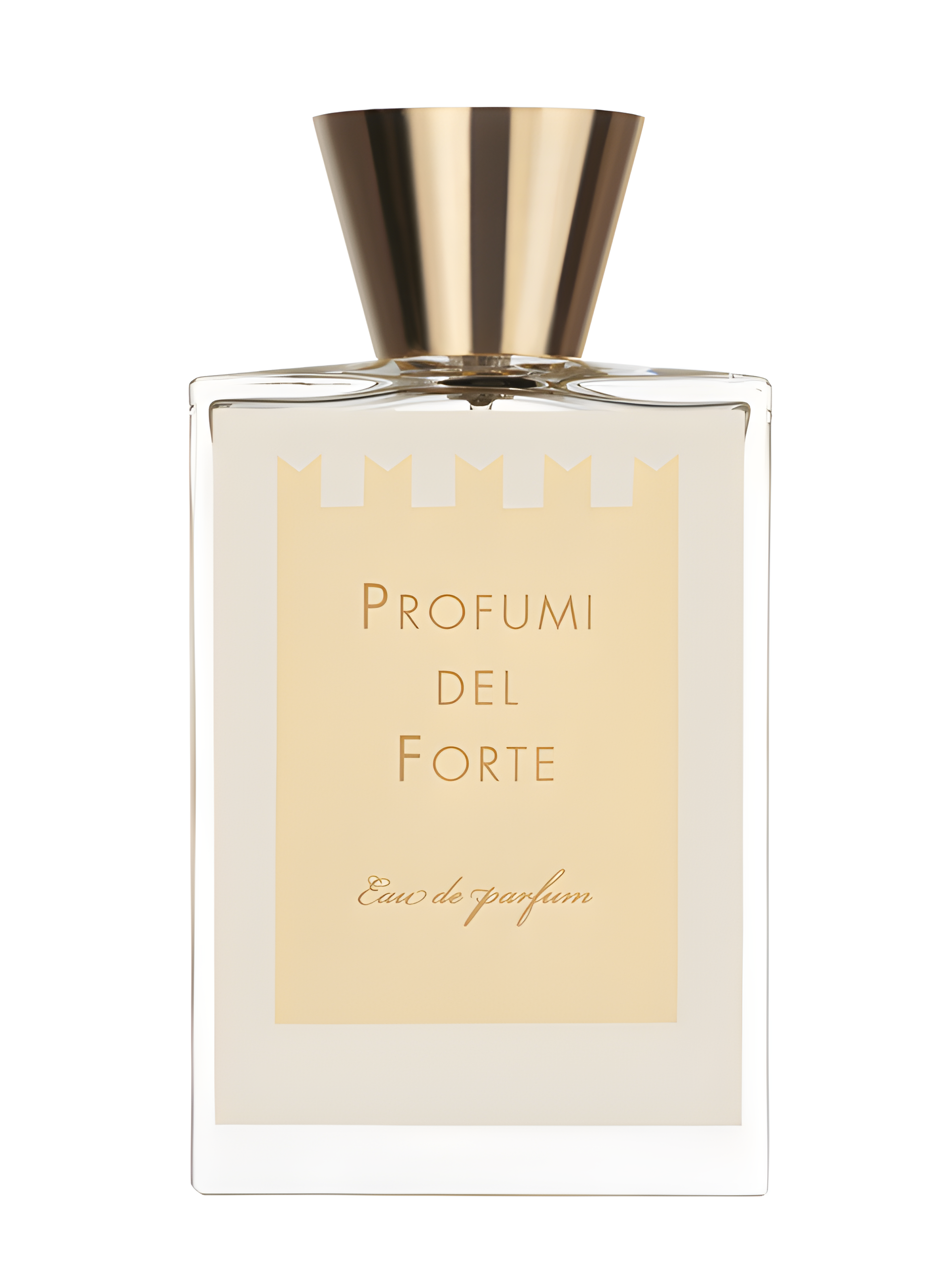 Ambra Mediterranea (Versilia Vintage Ambra Mediterranea) by Profumi del Forte perfume bottle
