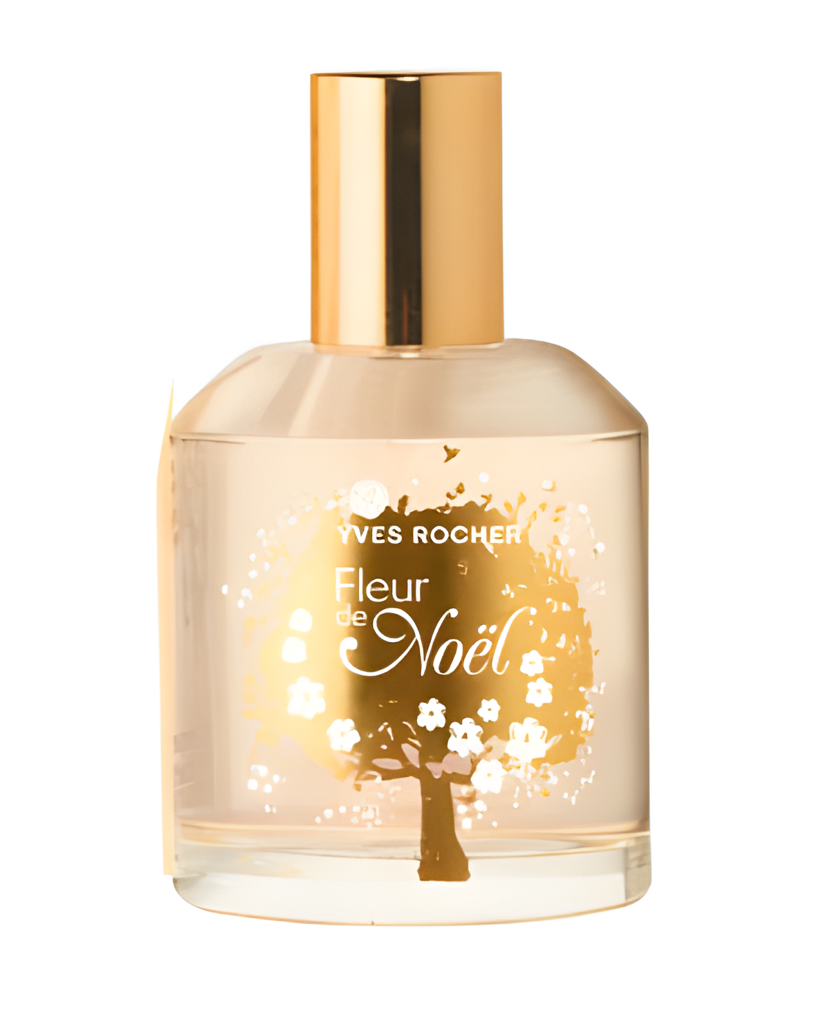 Fleur de Noel 2011 by Yves Rocher perfume bottle