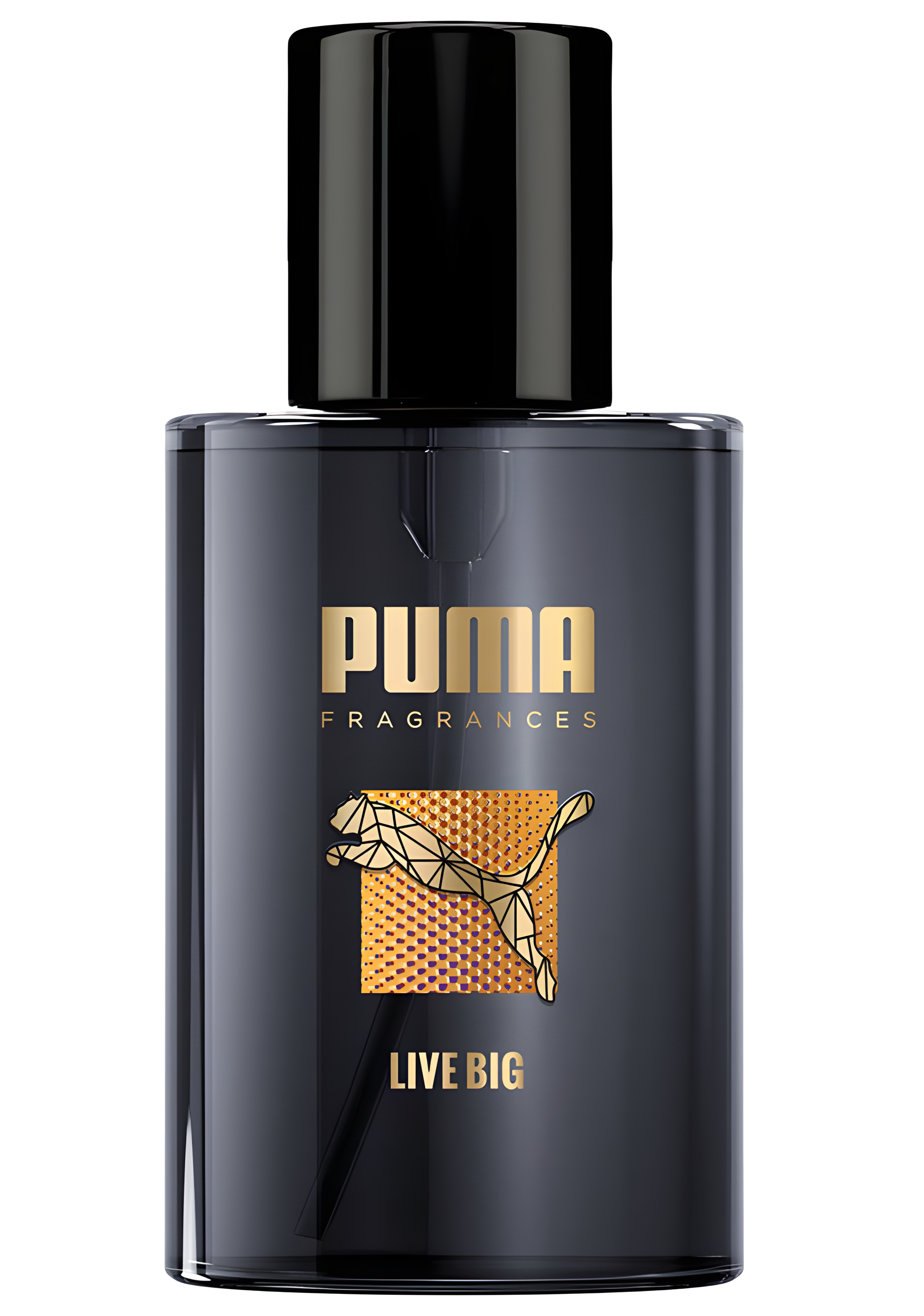 Live Big by Puma perfume bottle