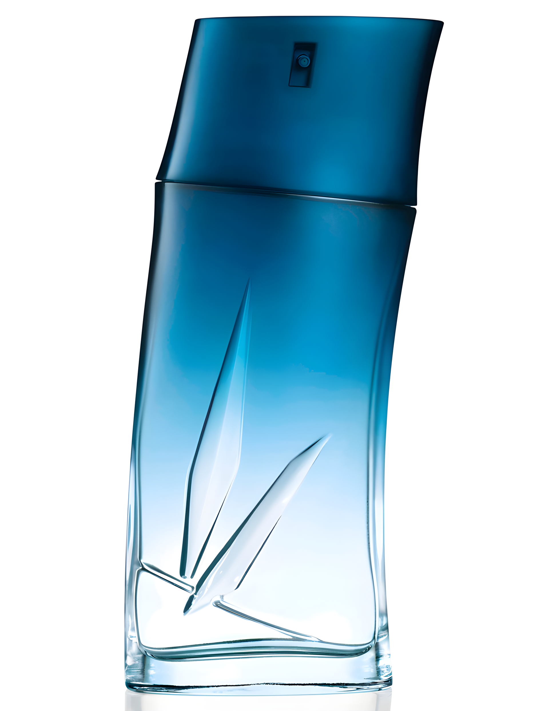 Kenzo Homme Eau de Parfum by Kenzo perfume bottle
