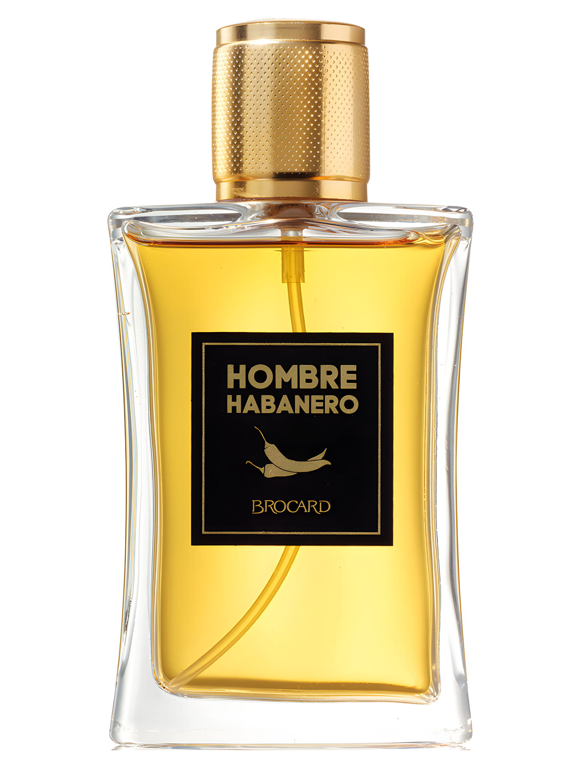 Hombre Habanero by Brocard perfume bottle
