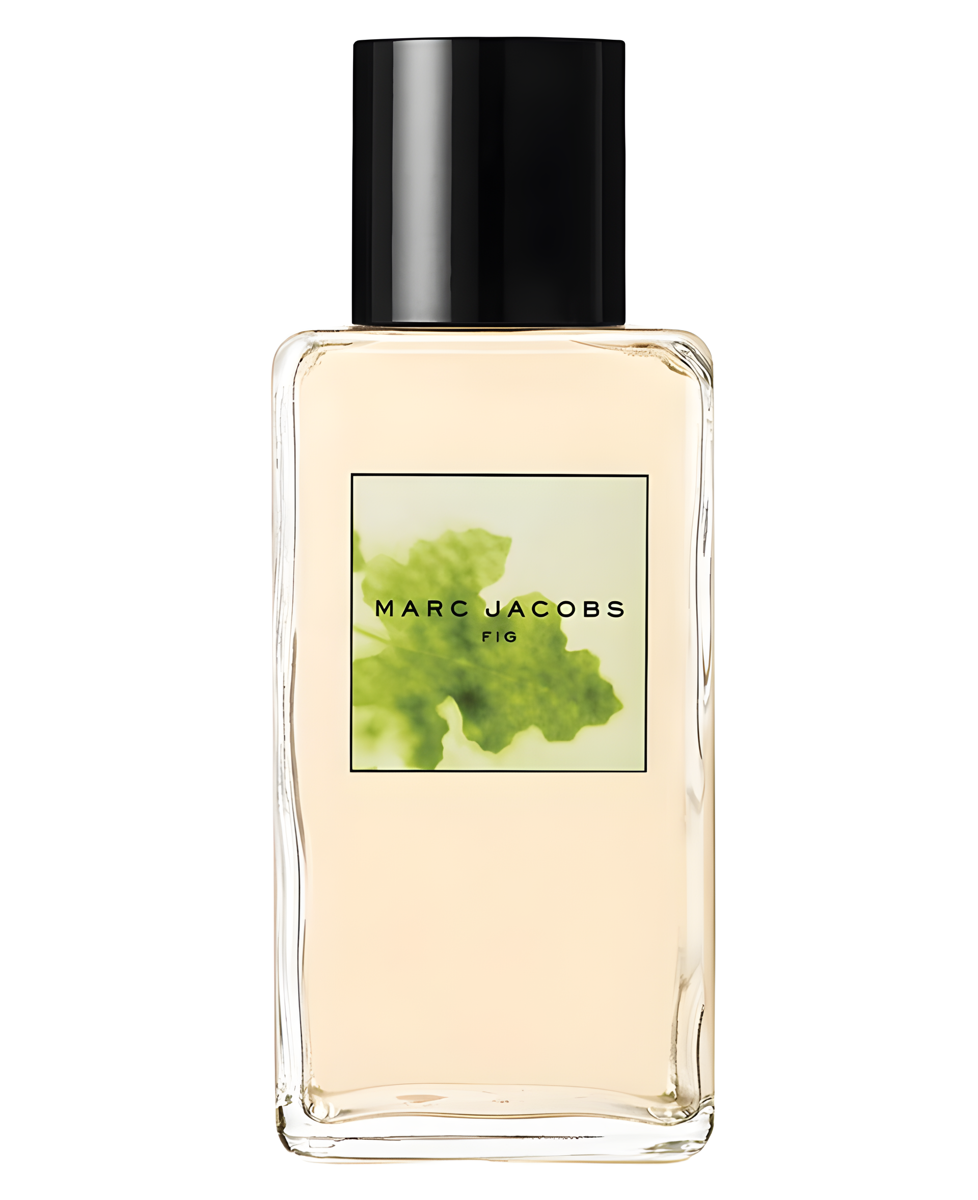 Marc Jacobs Splash Fig by Marc Jacobs perfume bottle