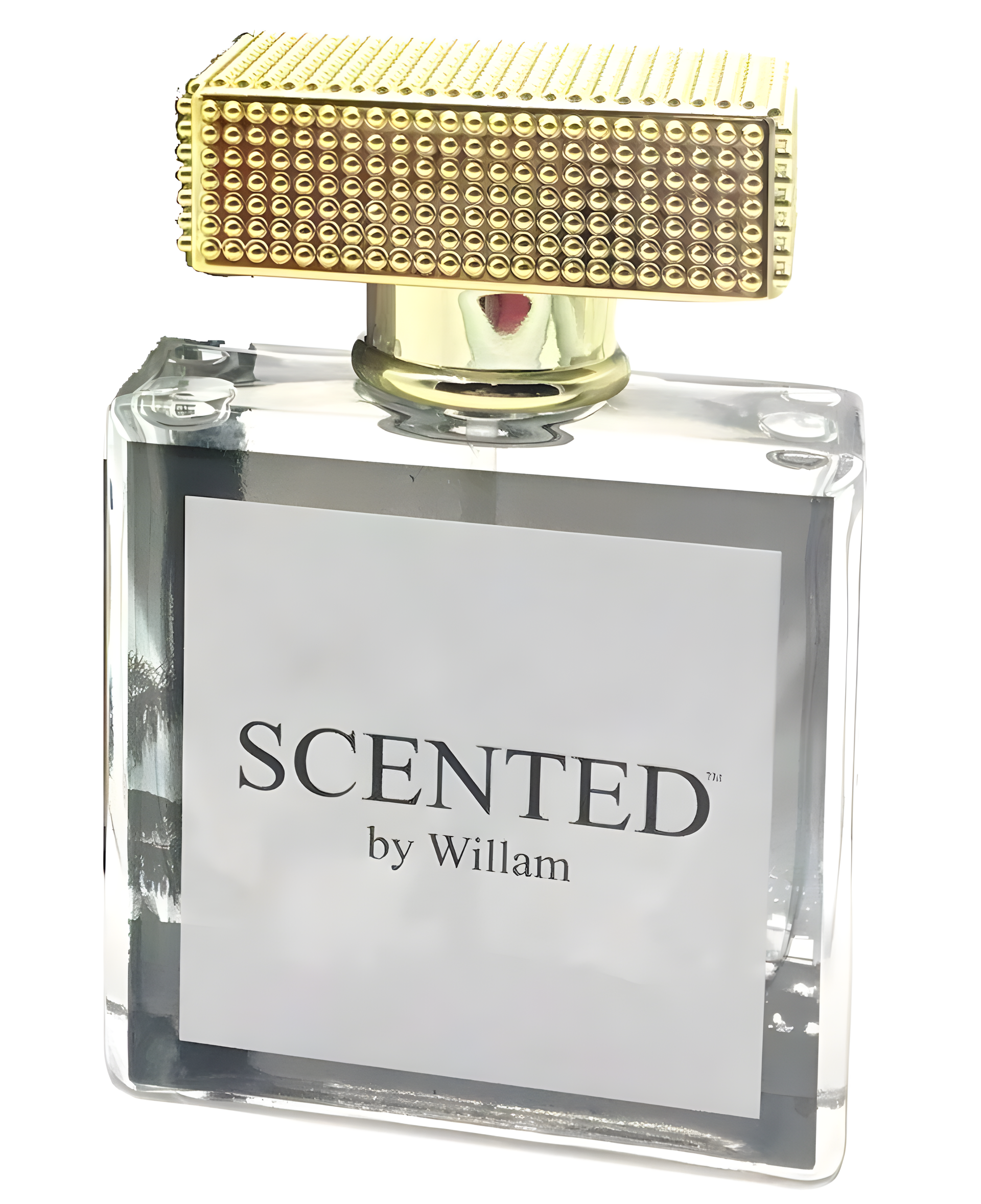 Scented by Willam by Xyrena perfume bottle