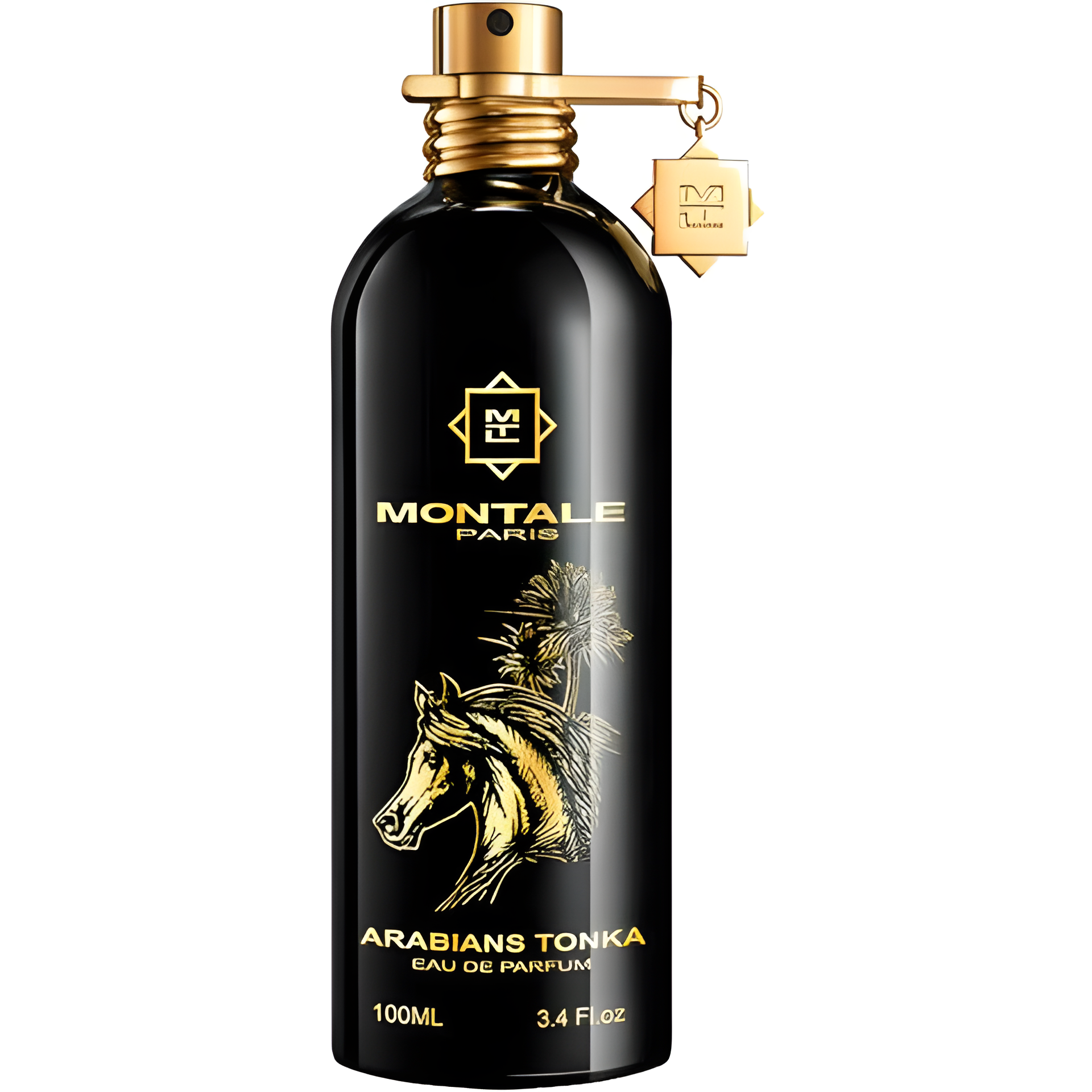 Arabians Tonka by Montale perfume bottle