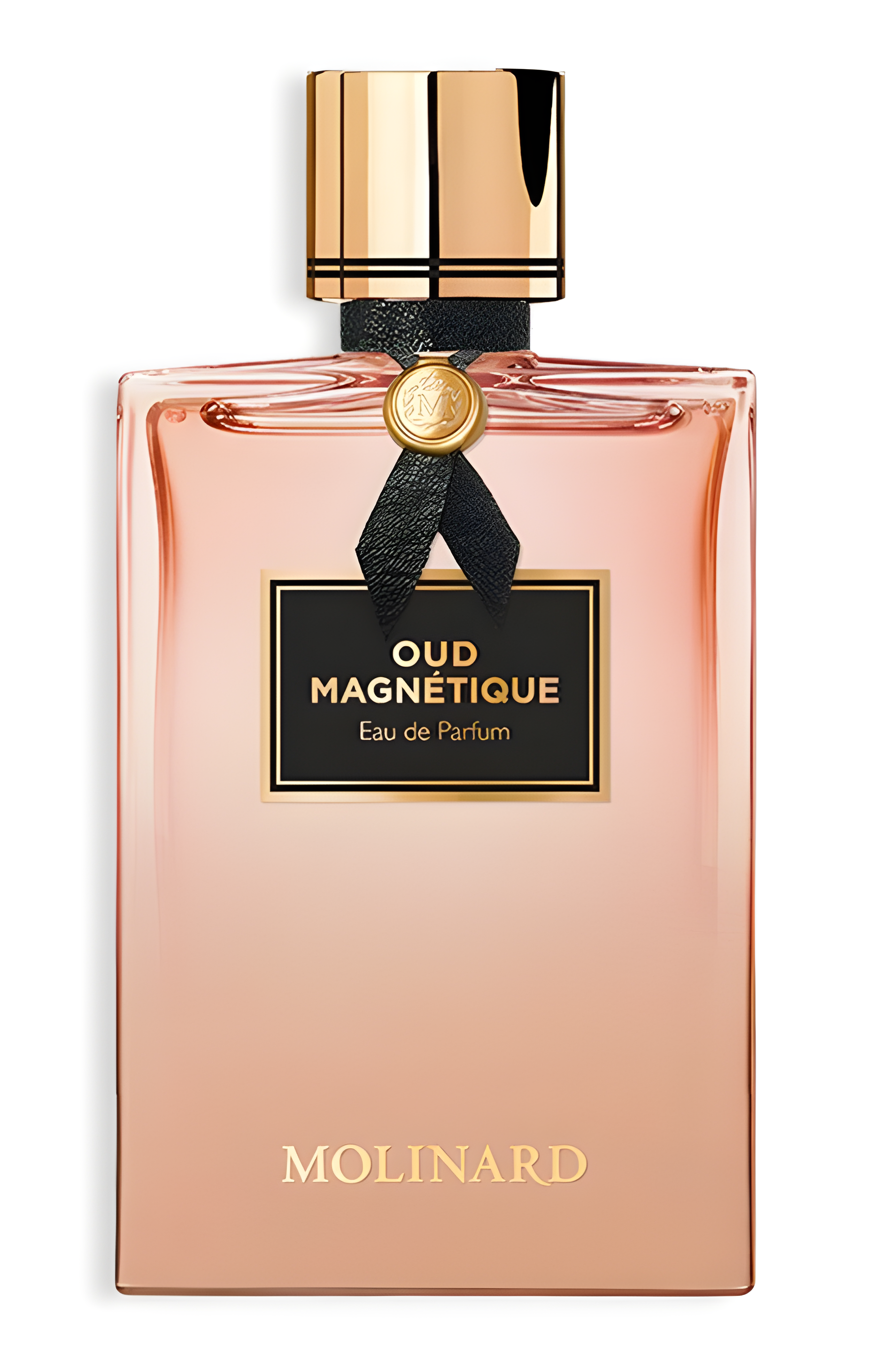 Oud Magnetique by Molinard perfume bottle