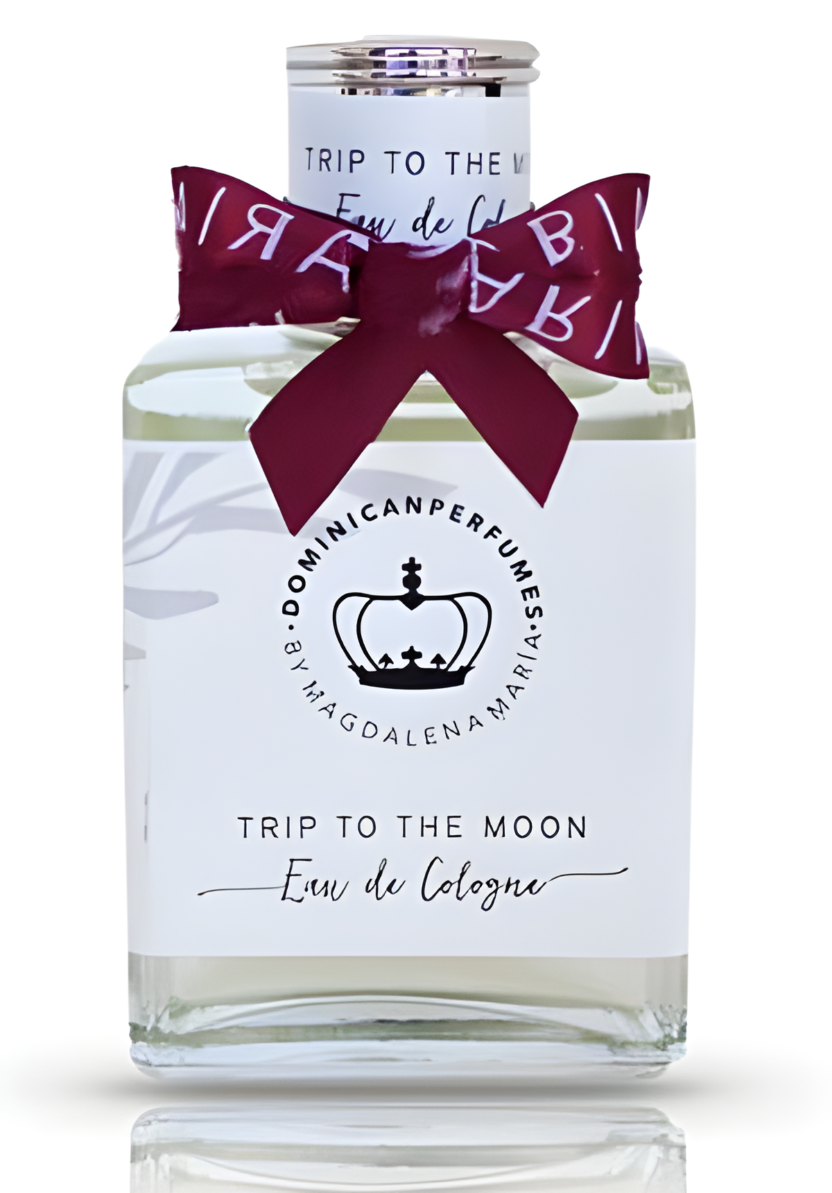 Trip to the Moon by Dominican Perfumes perfume bottle