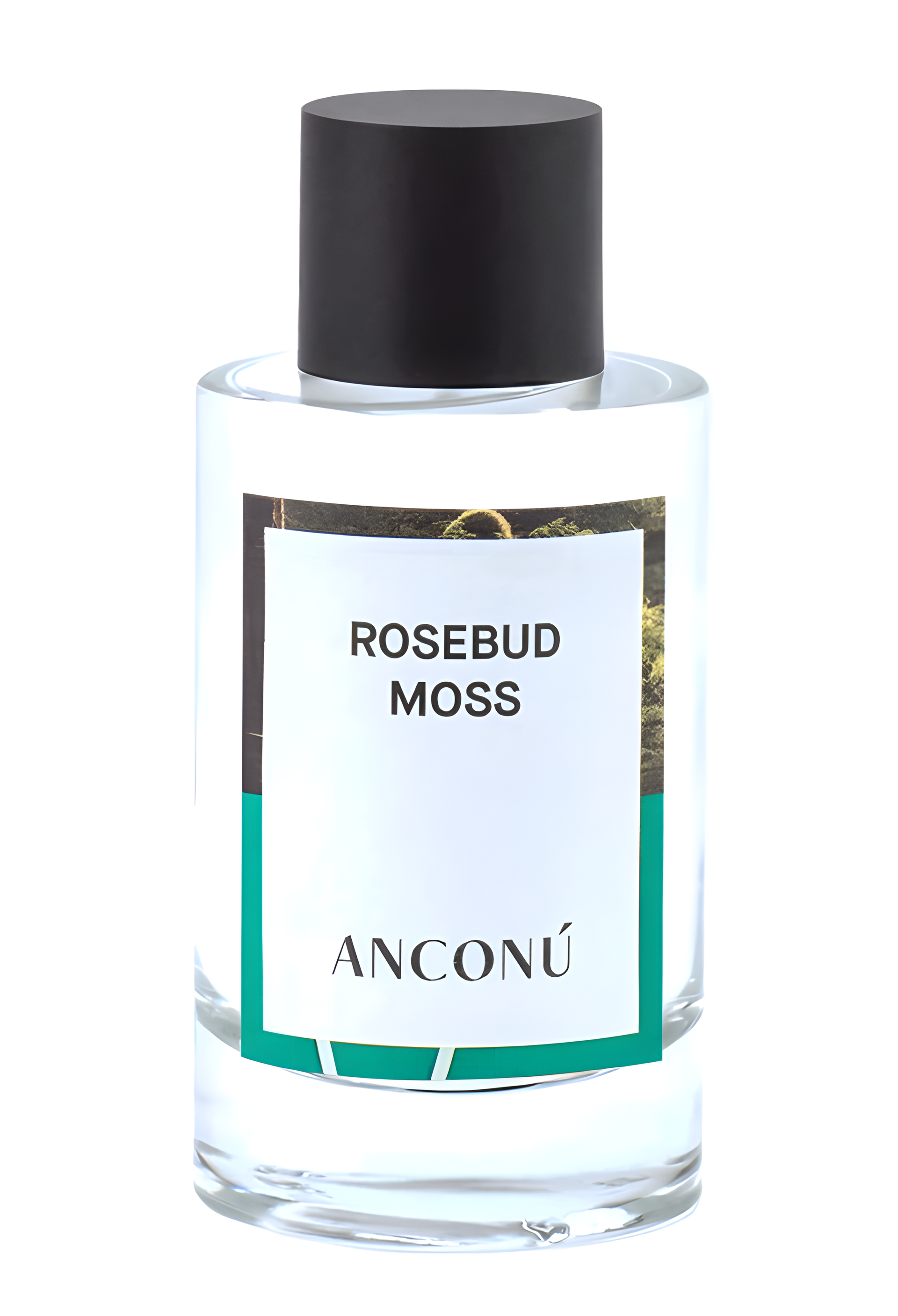 Rosebud Moss by Anconu perfume bottle