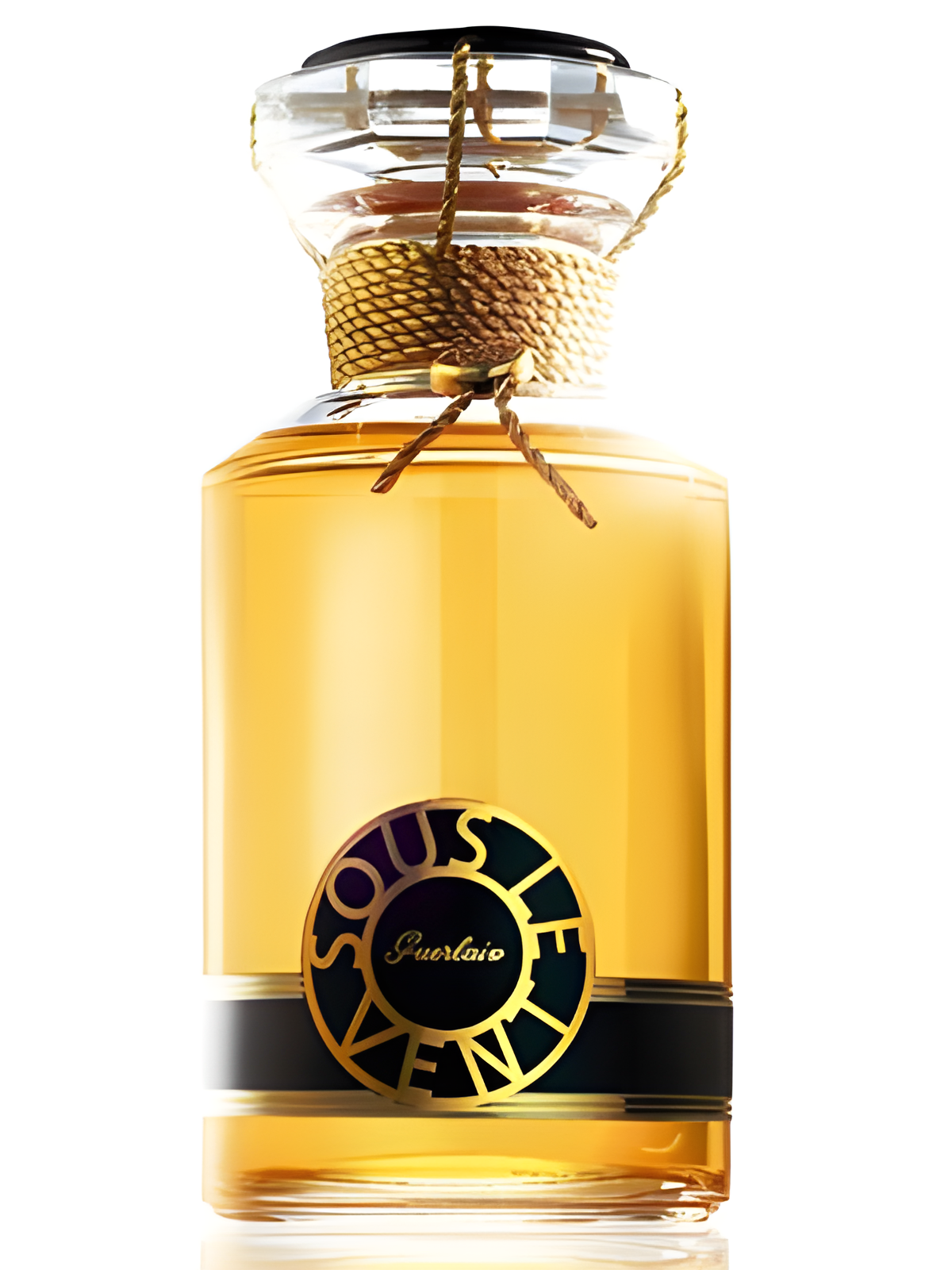 Sous Le Vent by Guerlain perfume bottle