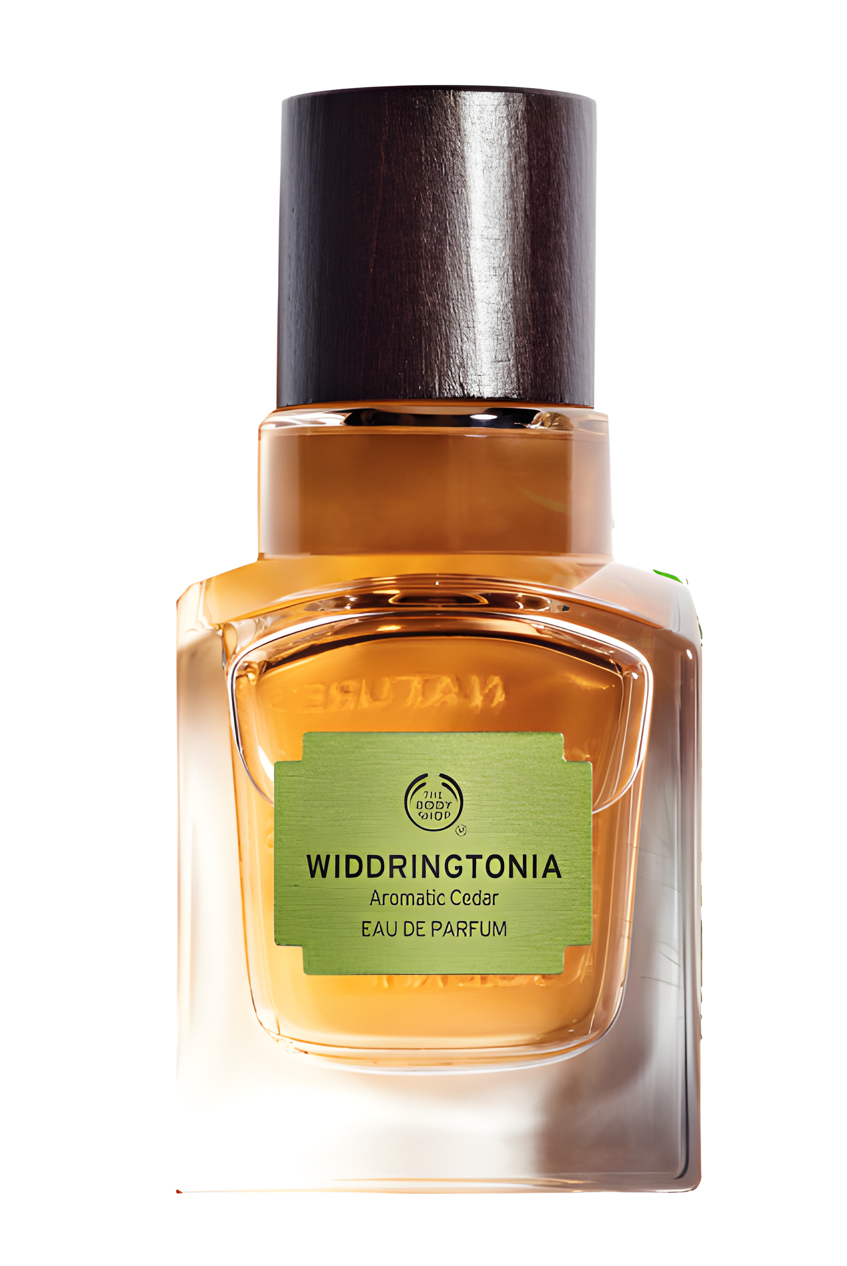 Widdringtonia by The Body Shop perfume bottle