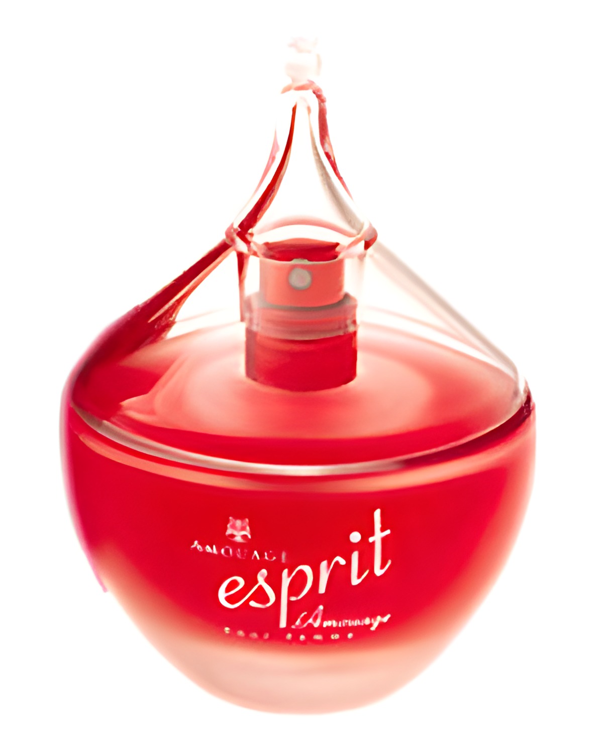 Esprit d'Amouage by Amouage perfume bottle