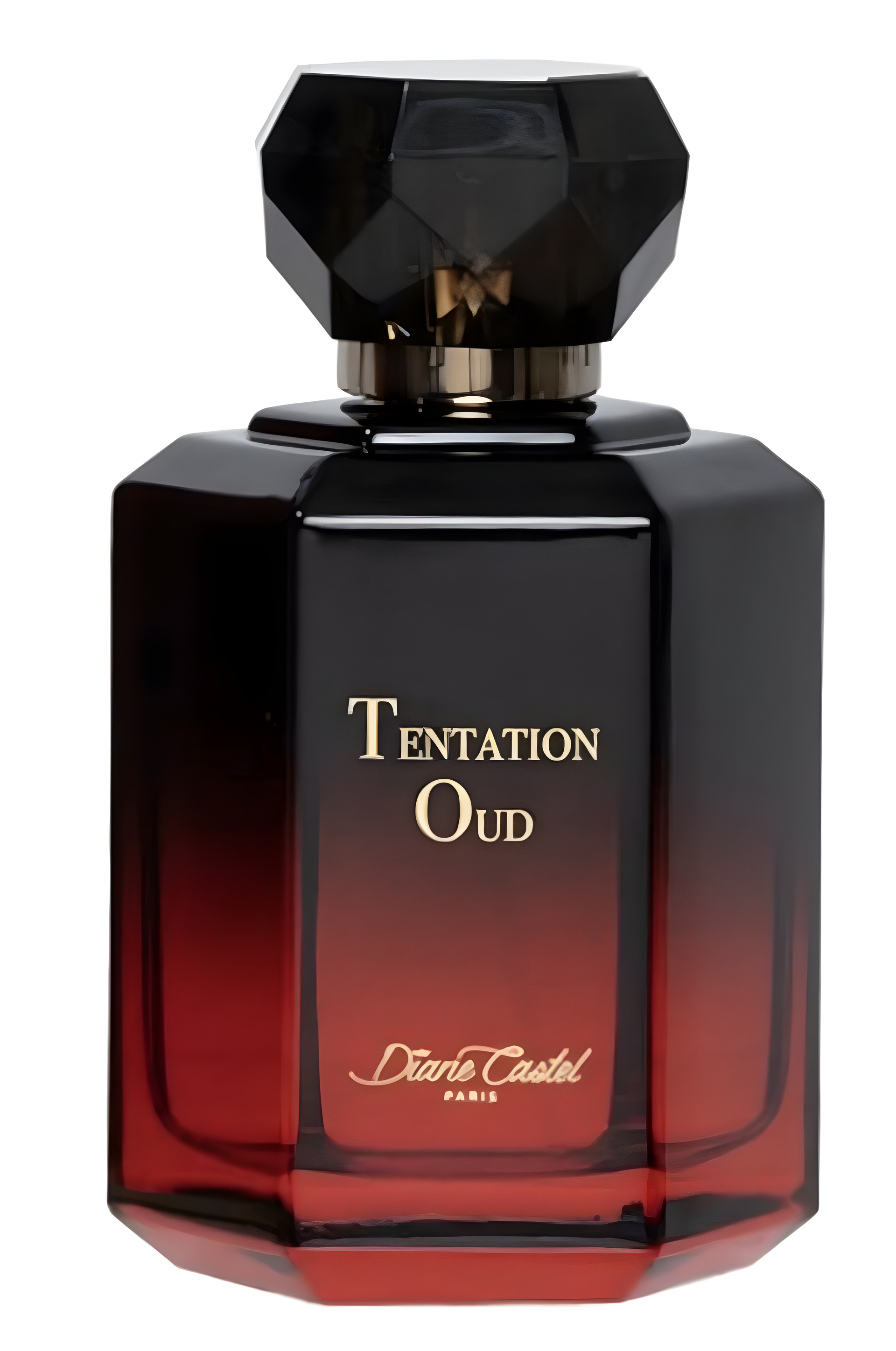 Tentaion Oud by Diane Castel perfume bottle