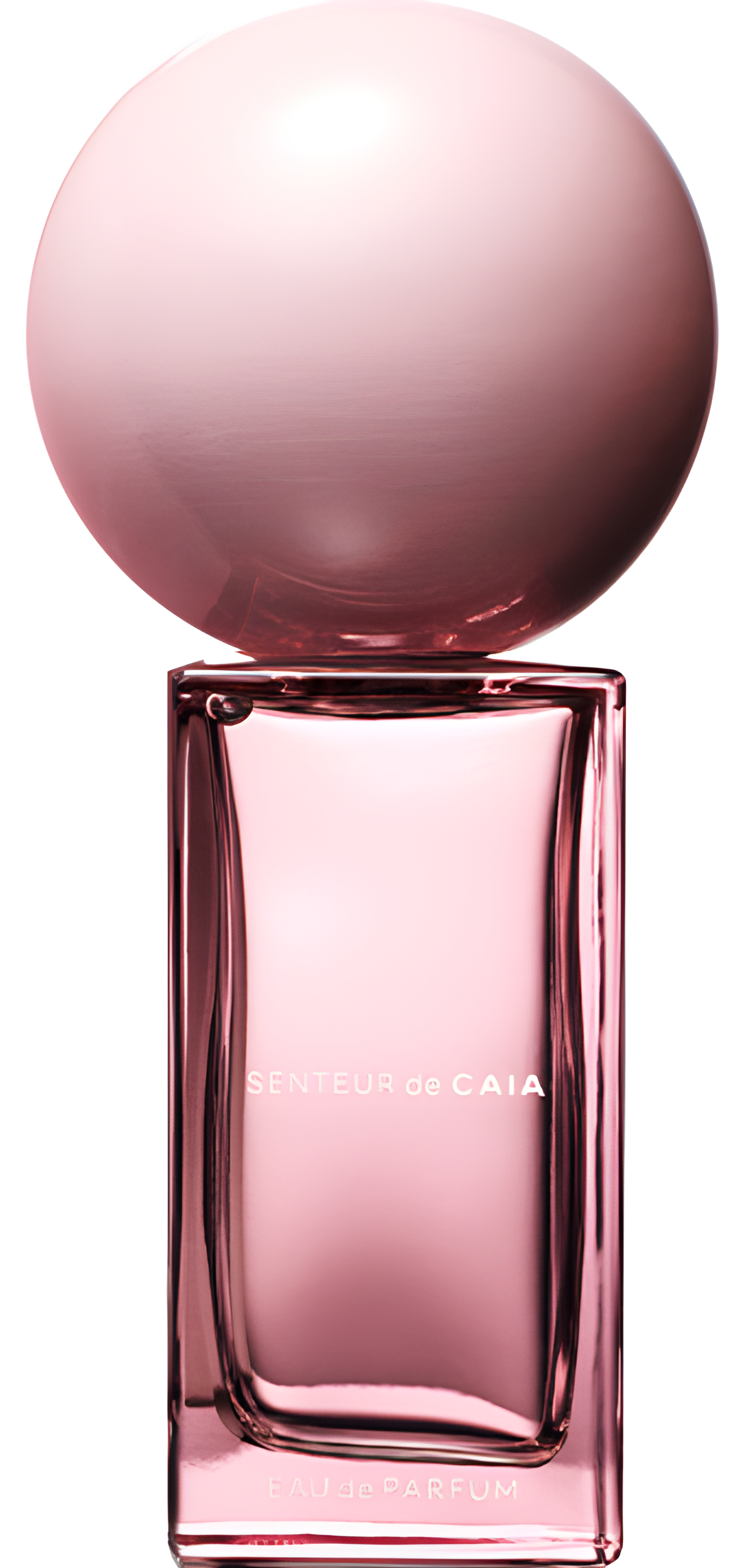 Senteur de Caia by Caia perfume bottle