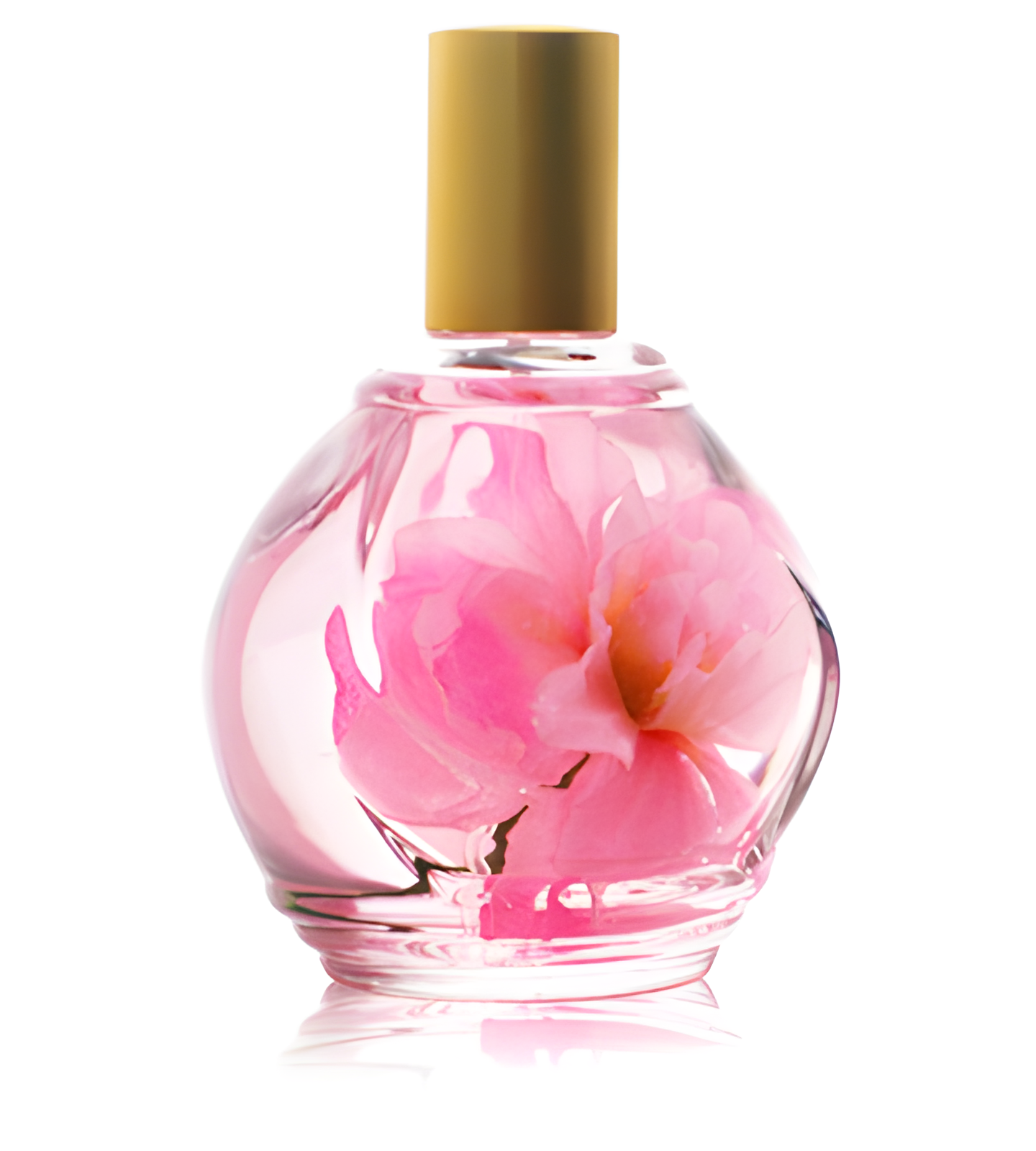 Parfum d'Ambiance Rose by Guy Bouchara perfume bottle