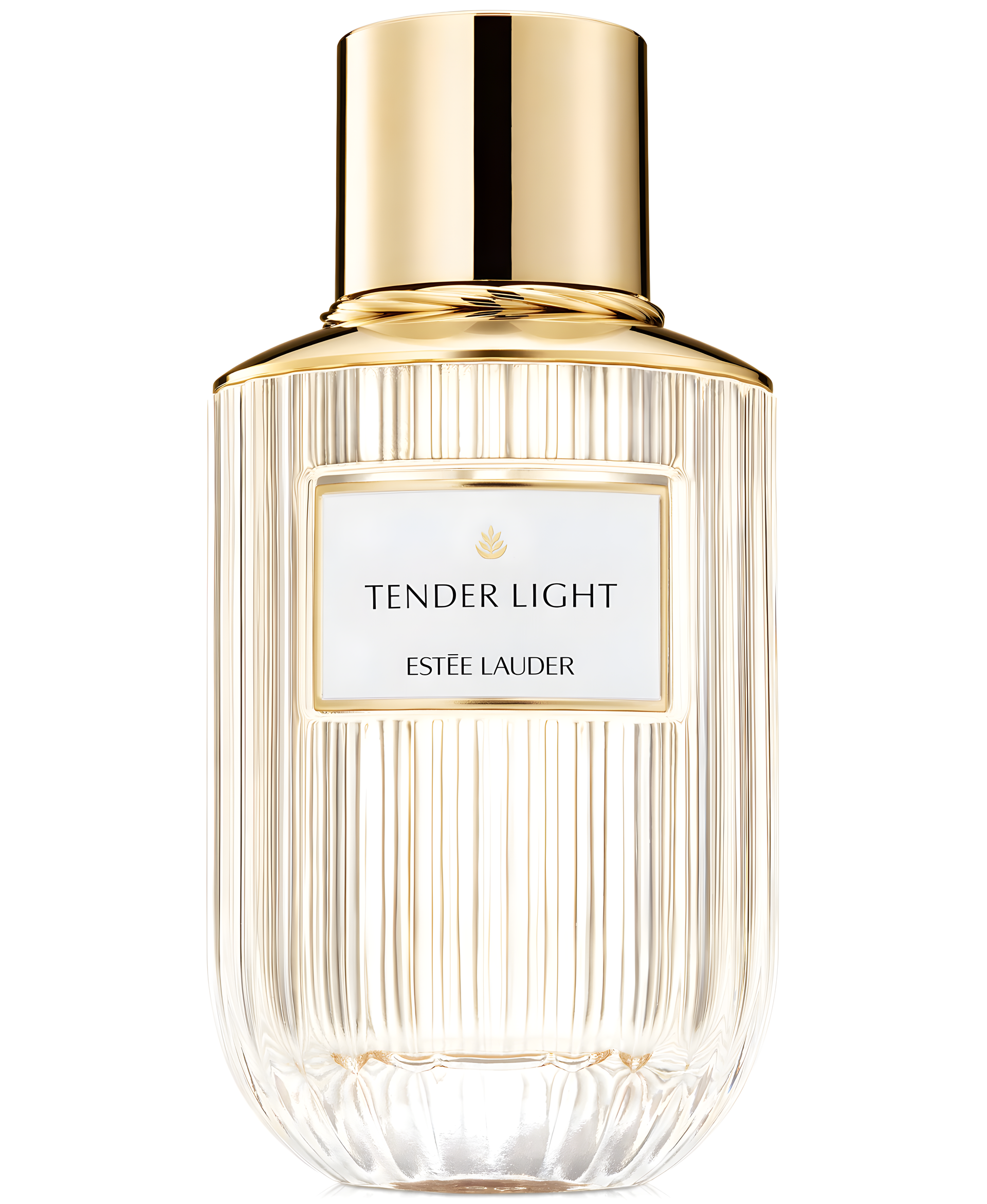 Tender Light by Estée Lauder perfume bottle