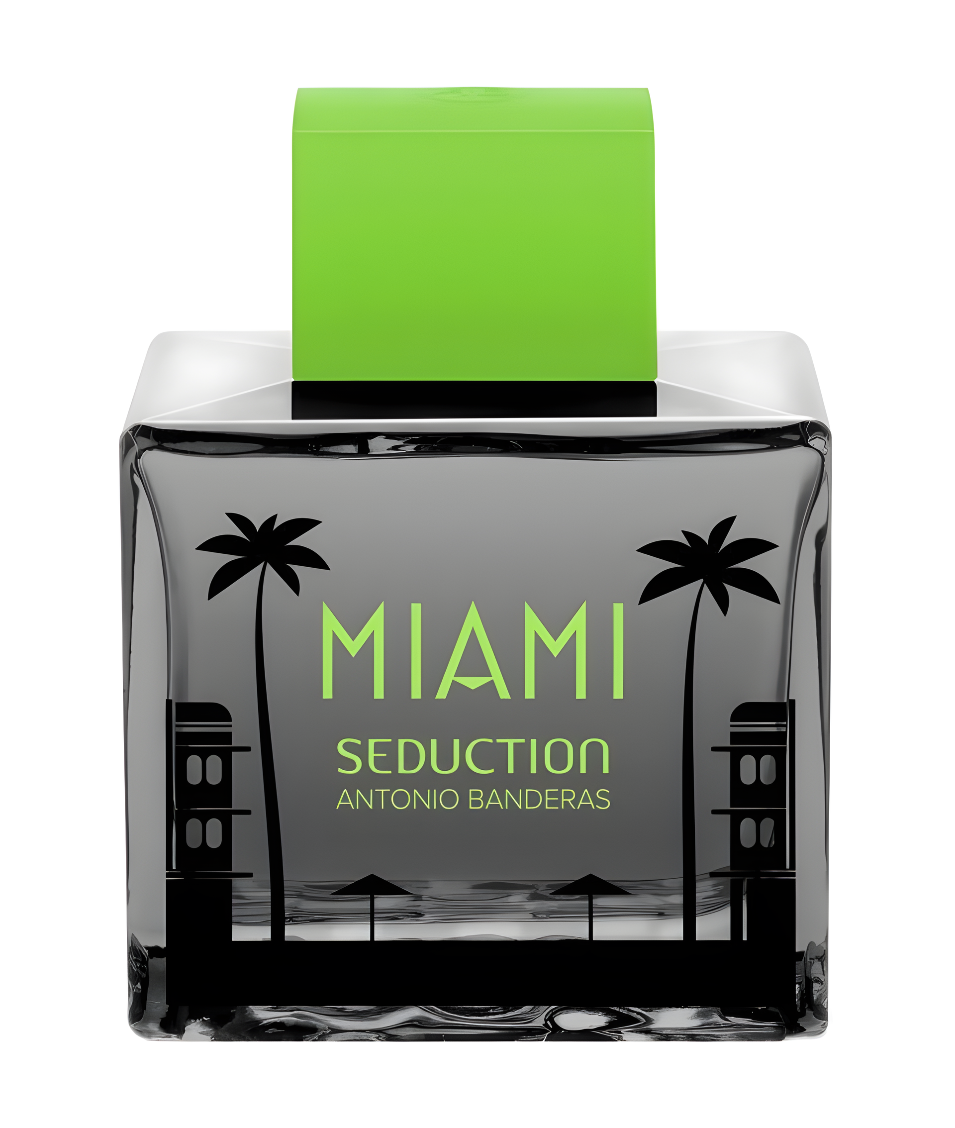 Antonio Banderas Miami Seduction in Black