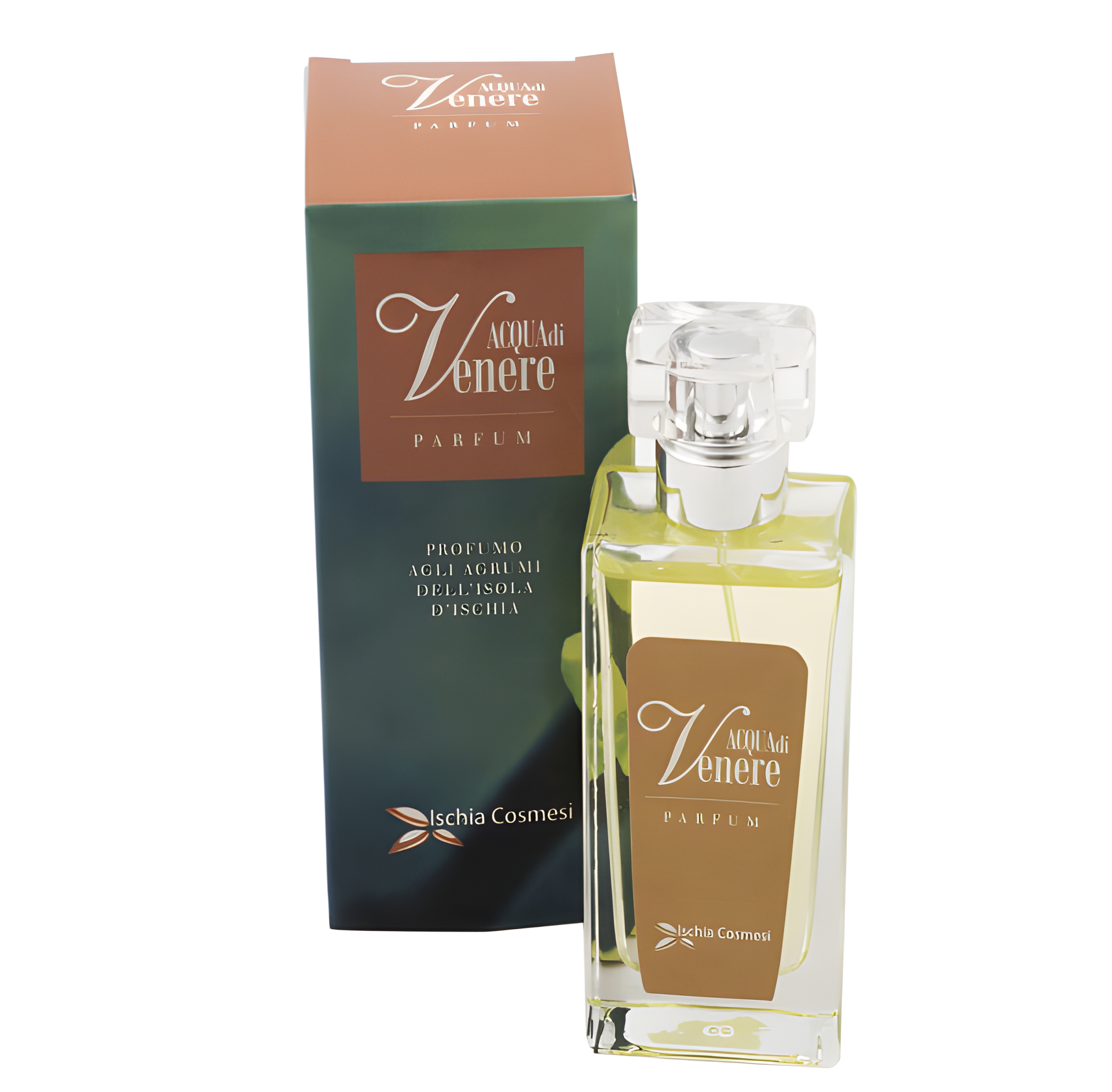Acqua Di Venere by Ischia Cosmesi perfume bottle