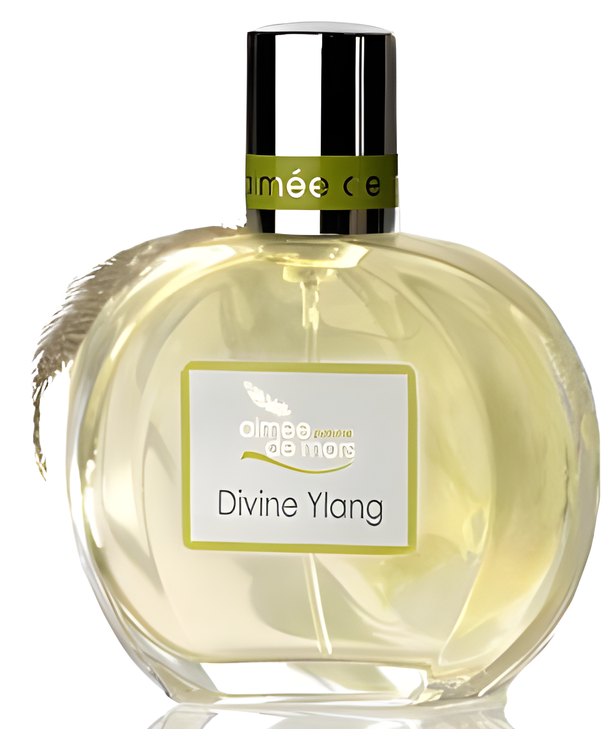 Divine Ylang by Aimee de Mars Parfums perfume bottle