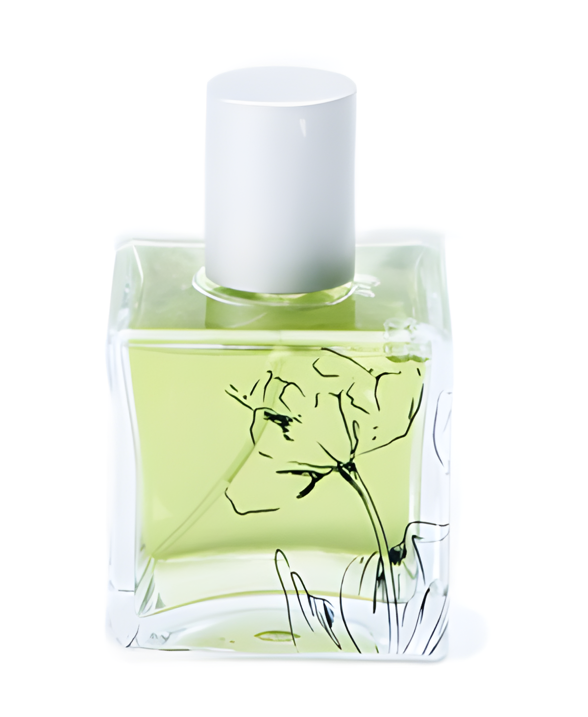 Buddha’s Fig by Infusion Organique perfume bottle