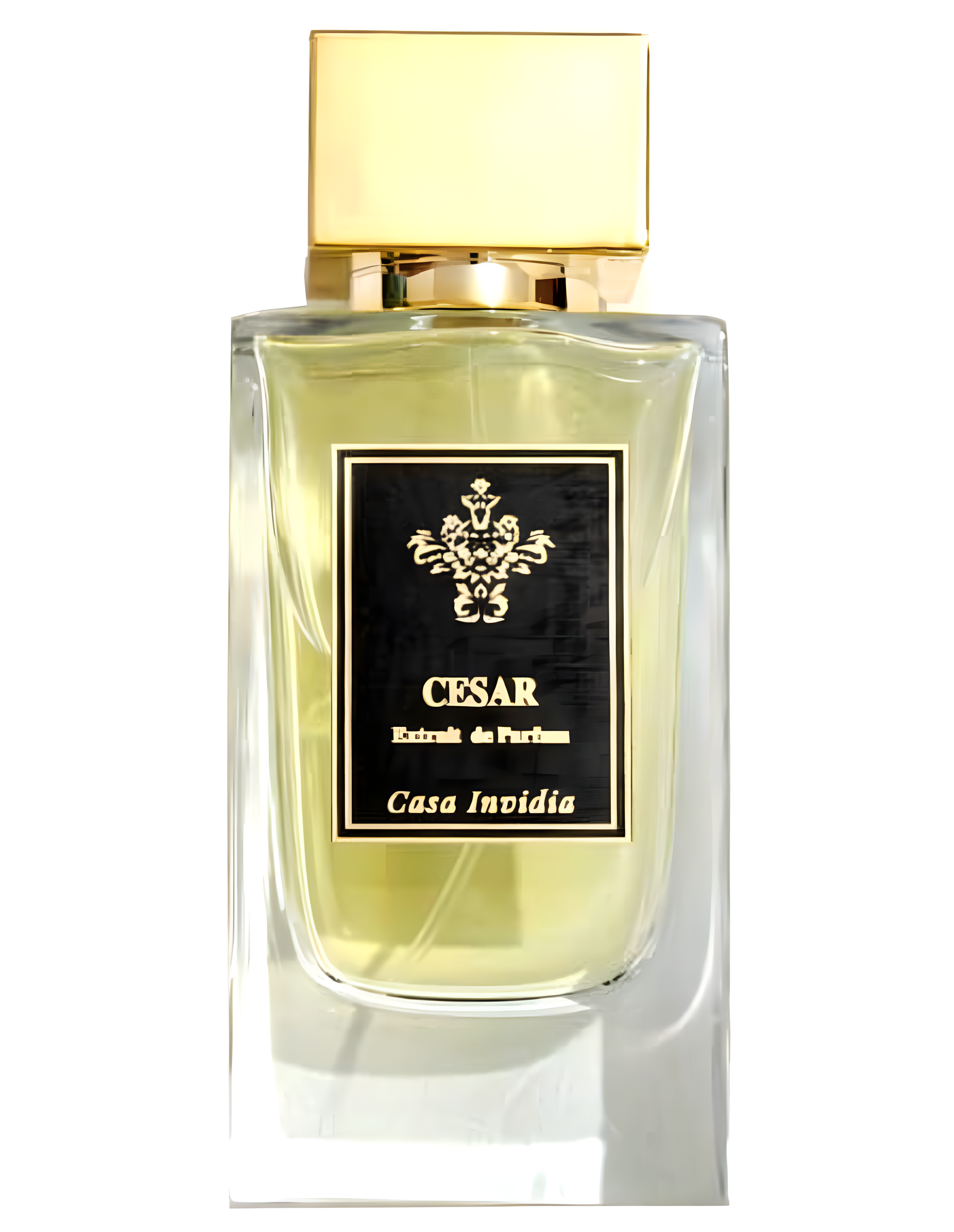 César by Casa Invidia perfume bottle
