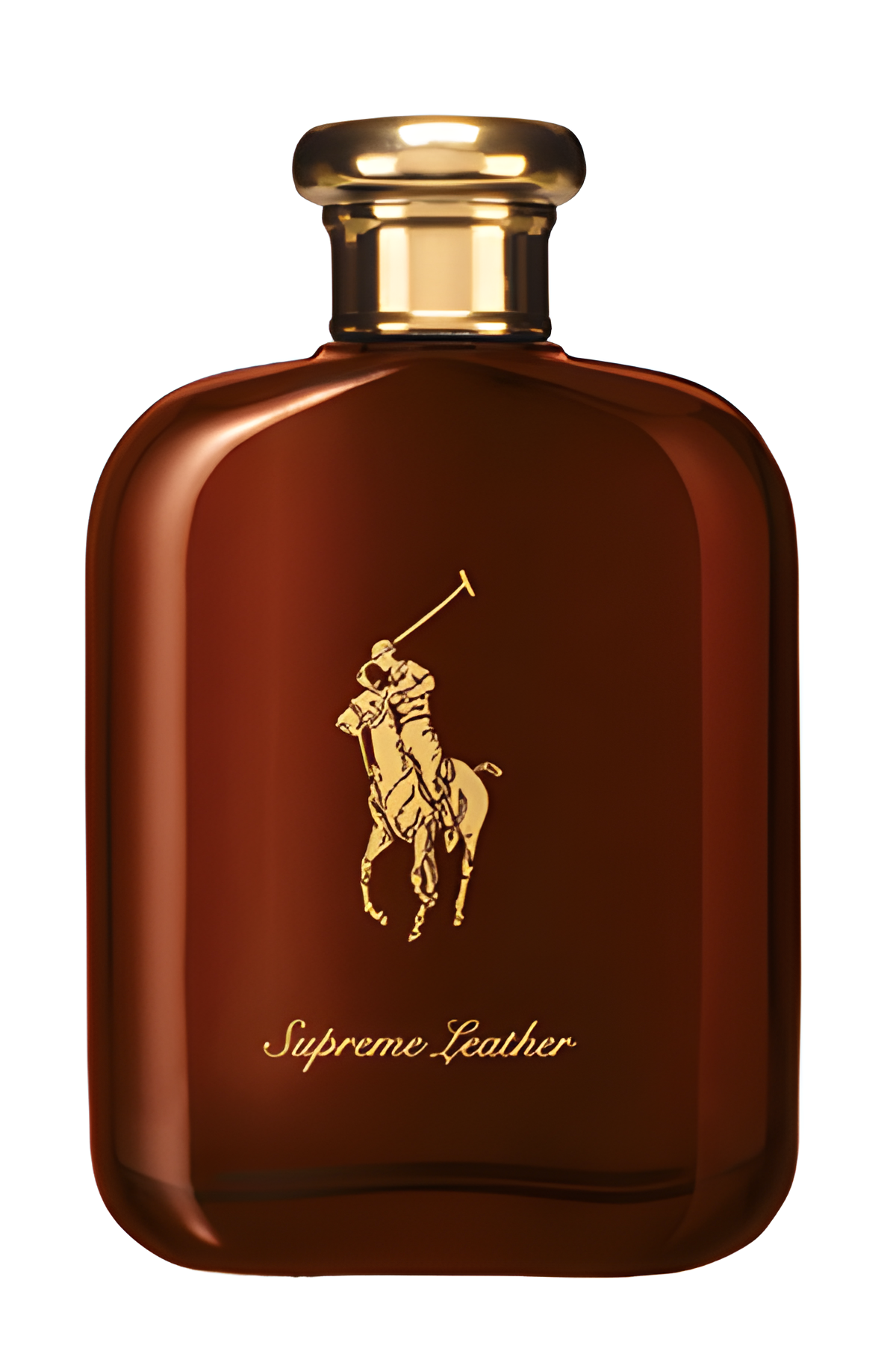 Polo Supreme Leather by Ralph Lauren perfume bottle
