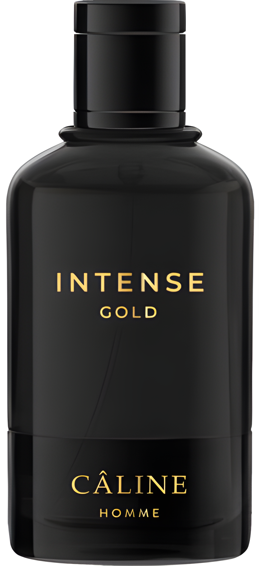 Intense Gold by Câline perfume bottle