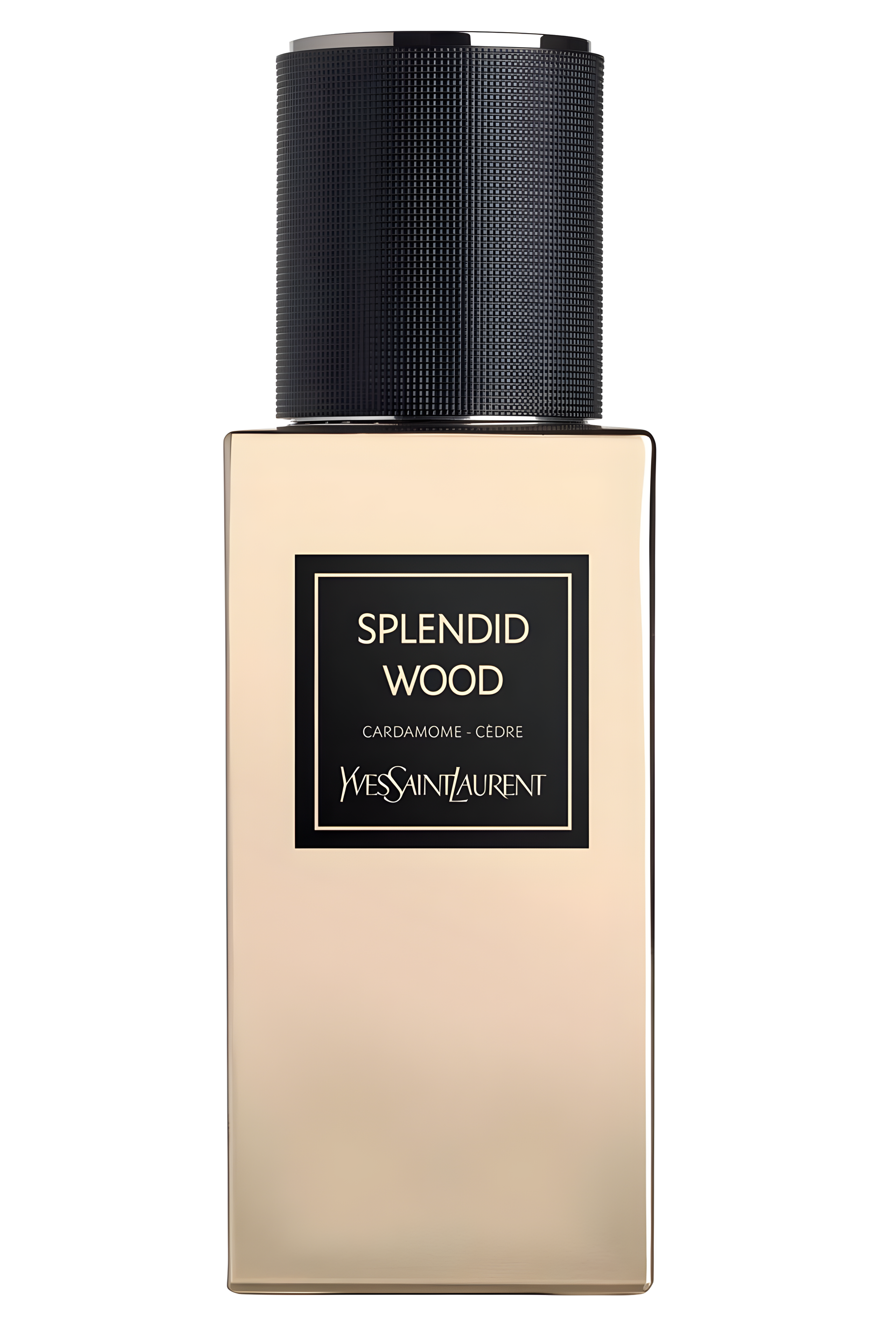 Splendid Wood (Le Vestiaire Des Parfums) by Yves Saint Laurent perfume bottle