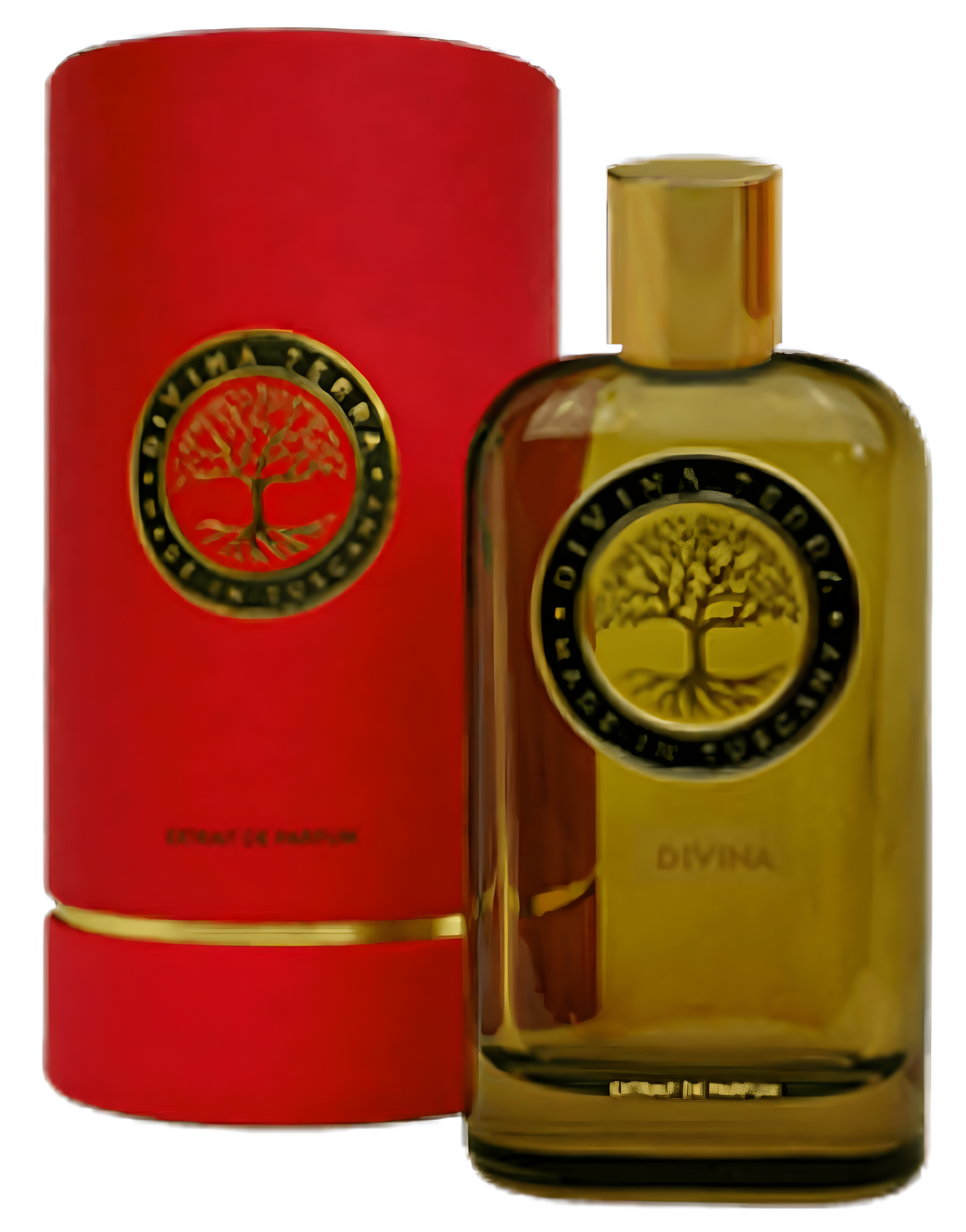 10 Bellezza by DiVina Terra perfume bottle