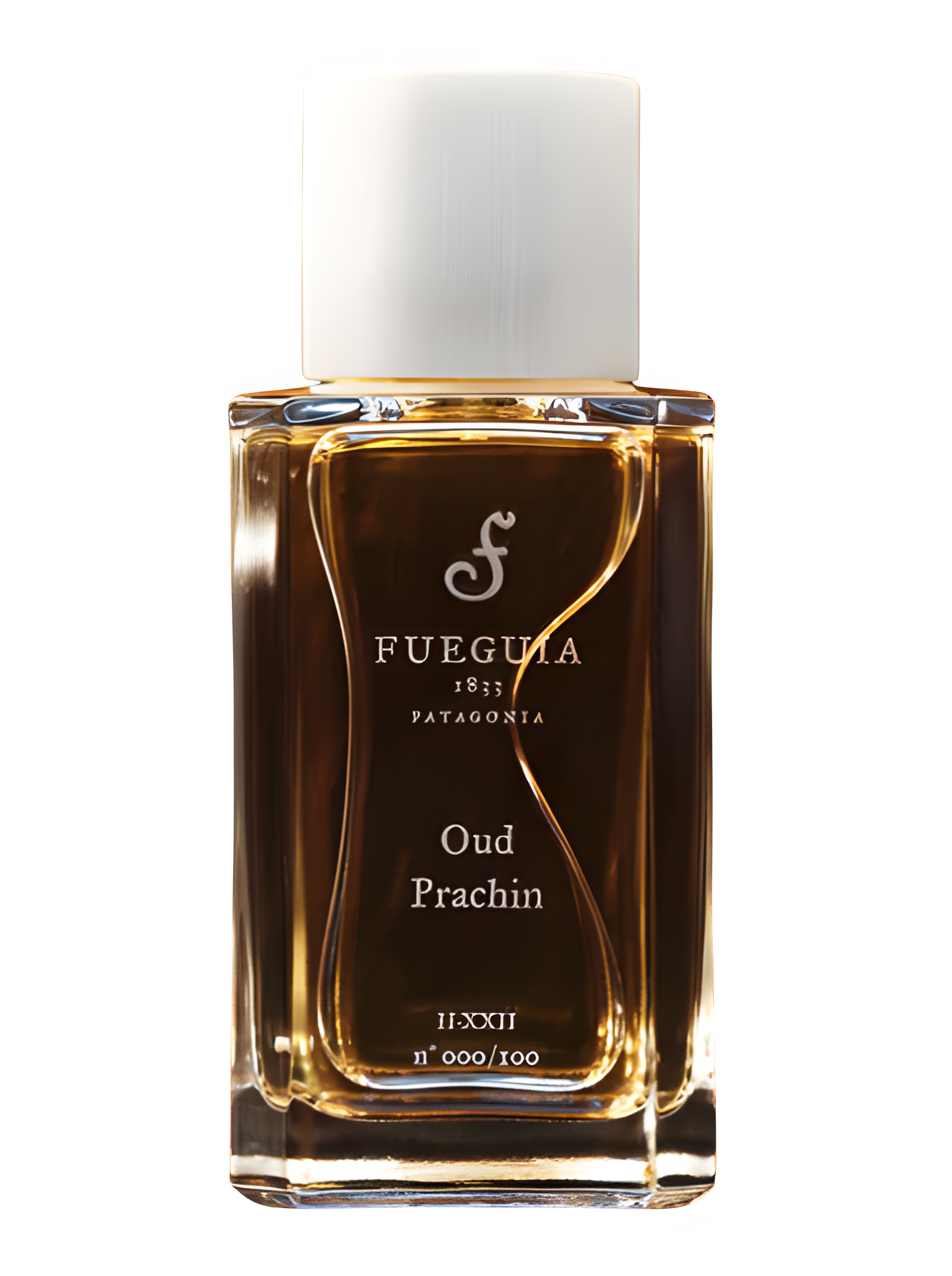 Oud Prachin by Fueguia 1833 perfume bottle