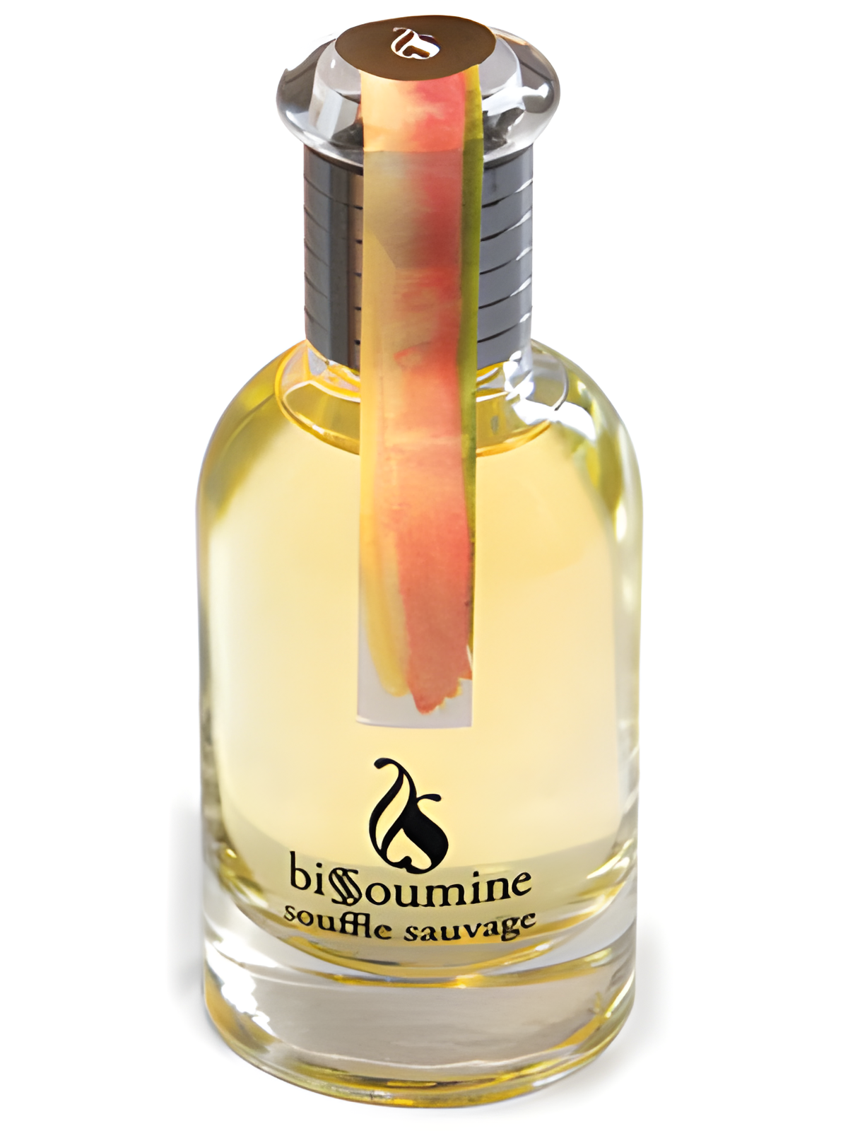 Souffle Sauvage by Bissoumine perfume bottle
