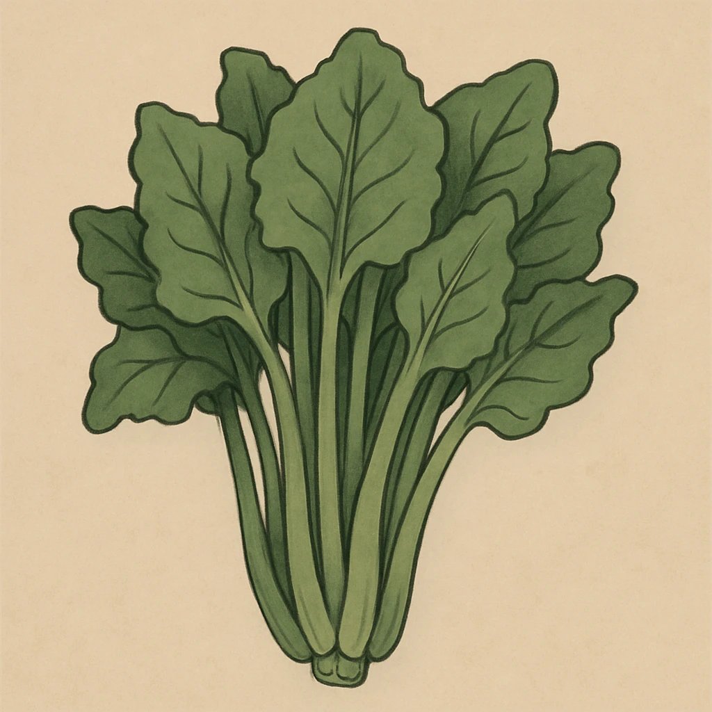 Picture of Stems Greens note