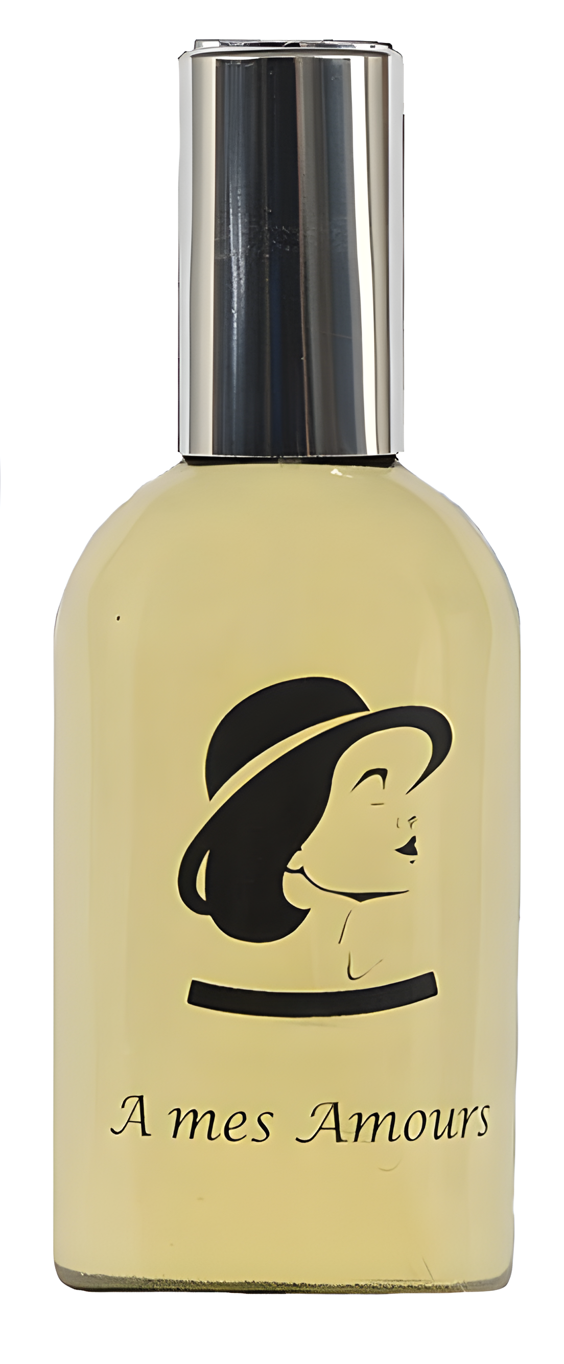 A Mes Amours by Ann Steeger perfume bottle