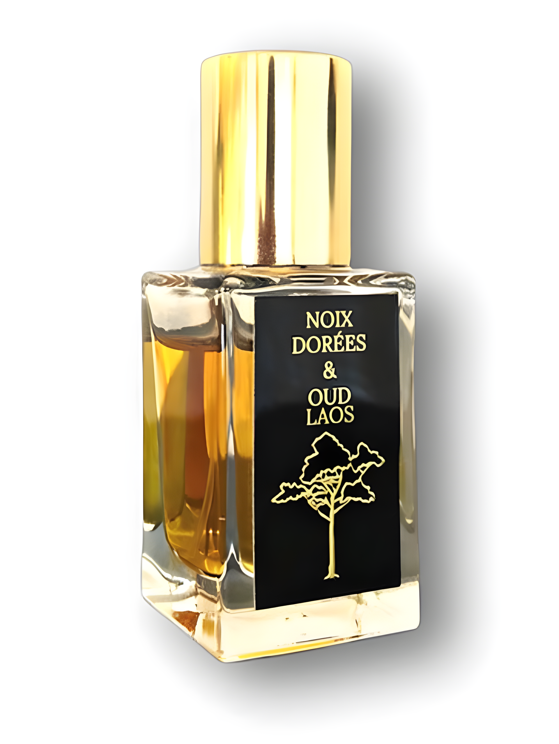 Noix Dorées & Oud Laos by Marble Oud perfume bottle