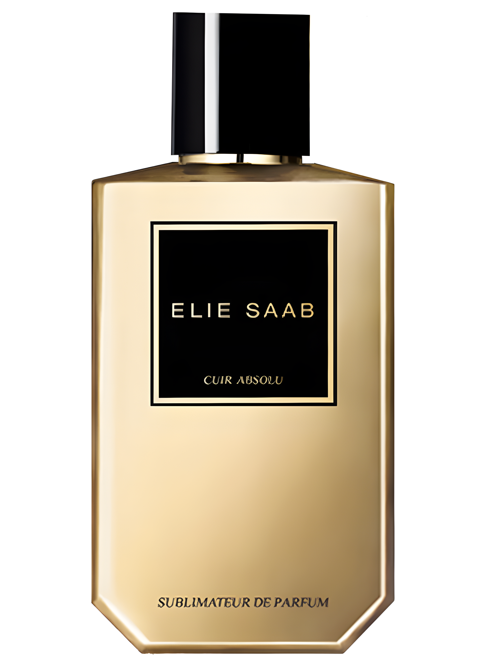 Cuir Absolu by Elie Saab perfume bottle